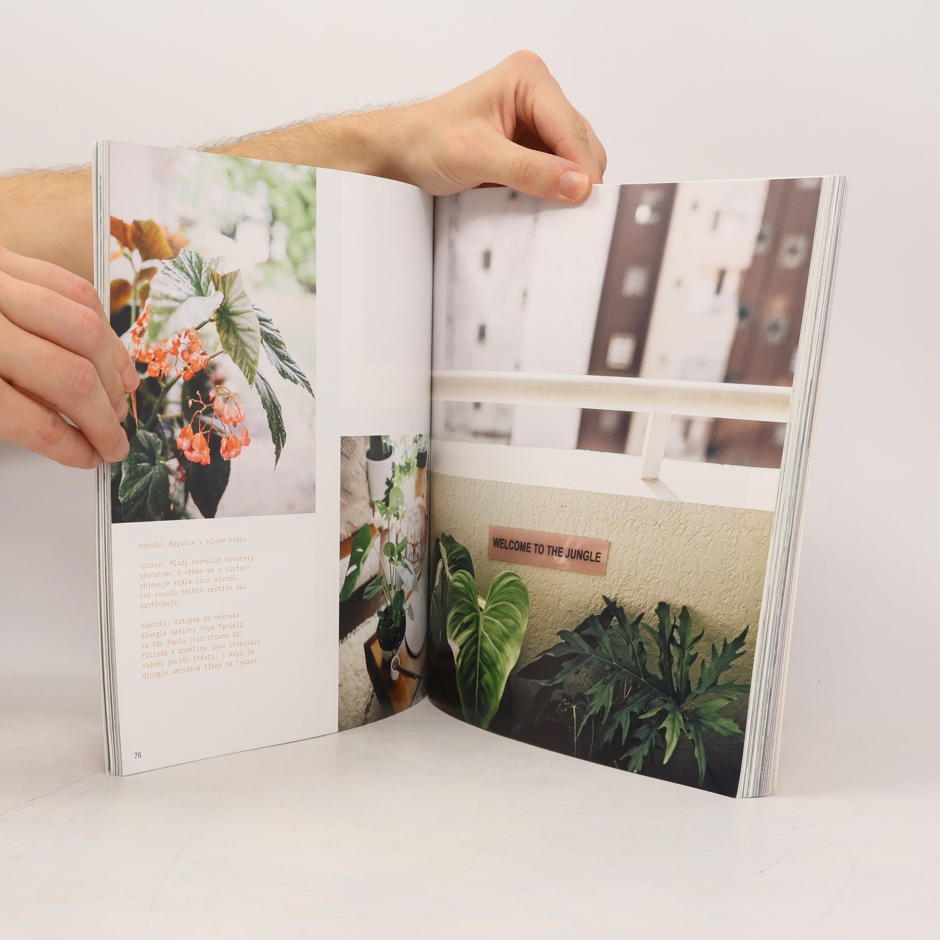 Igor Josifovic Plant Tribe