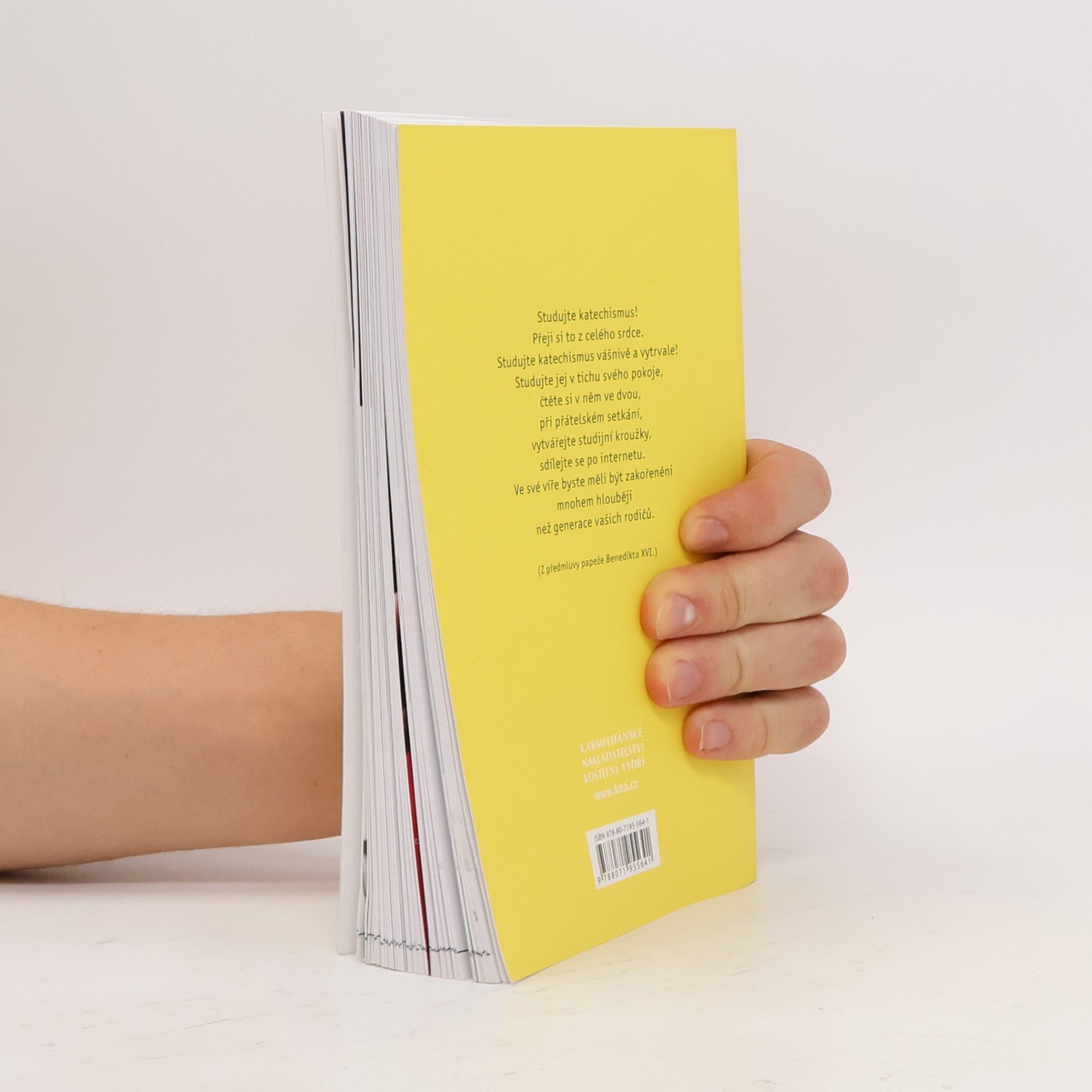 Collectif d'auteurs Youcat: katechismus katolické církve pro mladé