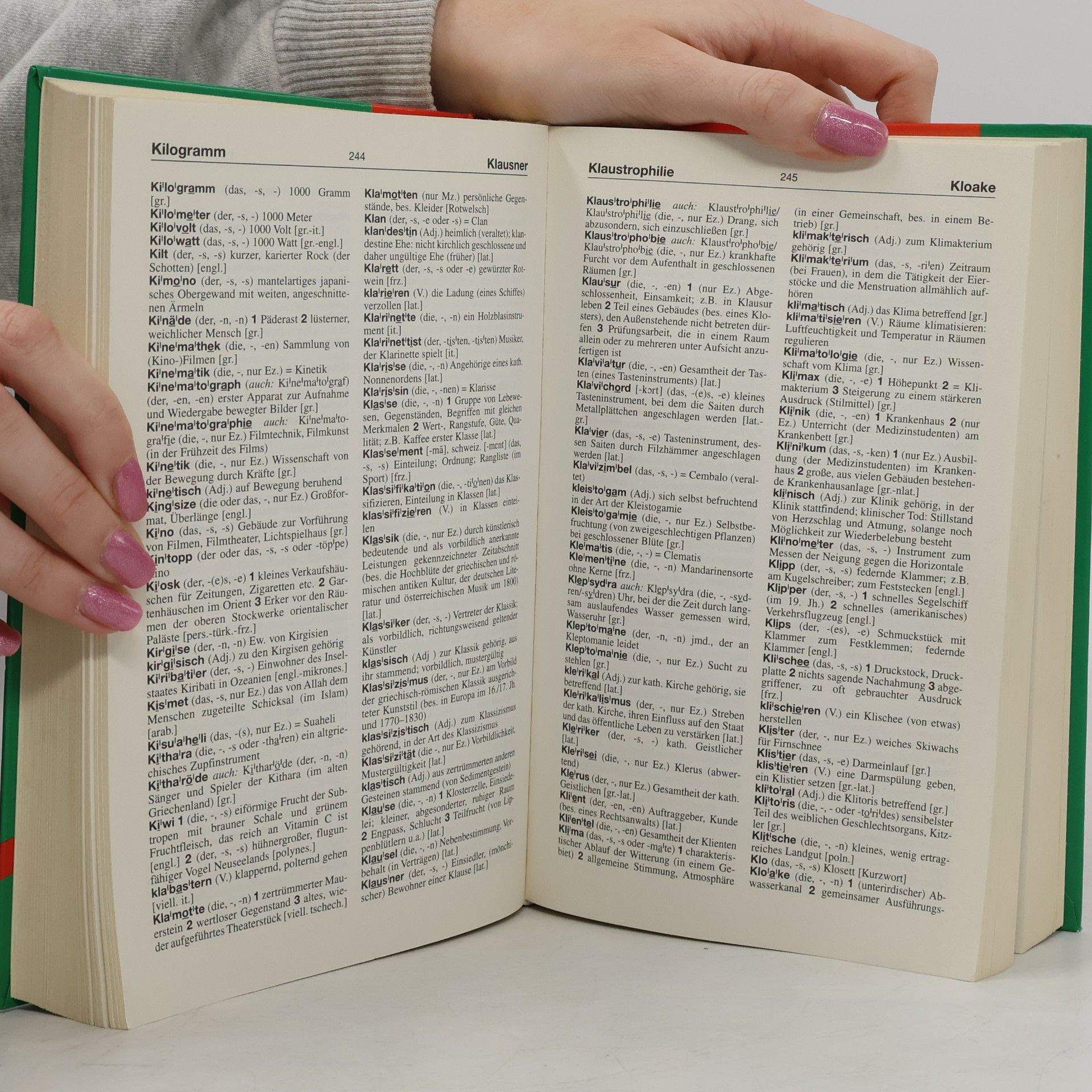 Horst Leisering Neues grosses Wörterbuch Fremdwörter