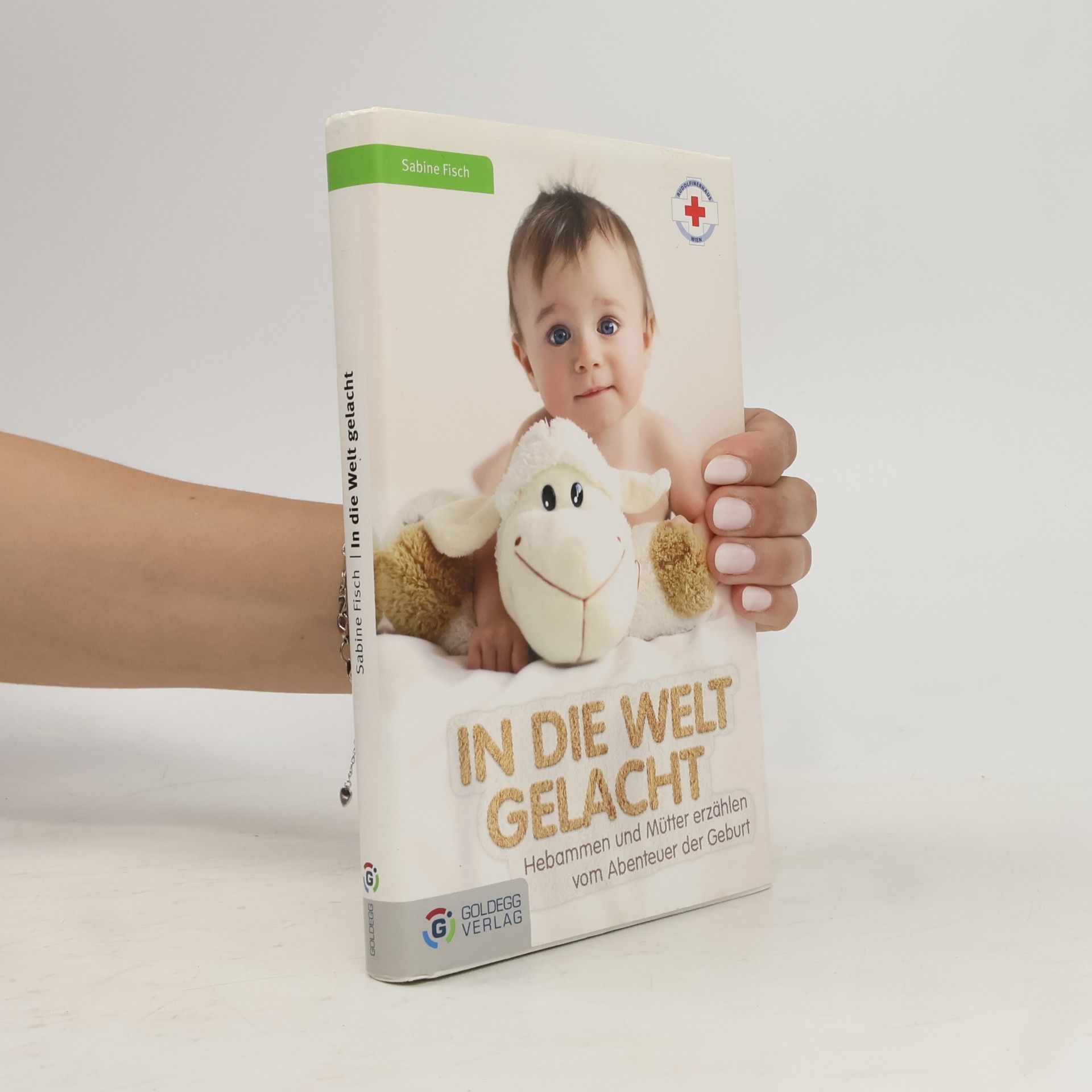 Sabine Fisch In die Welt gelacht