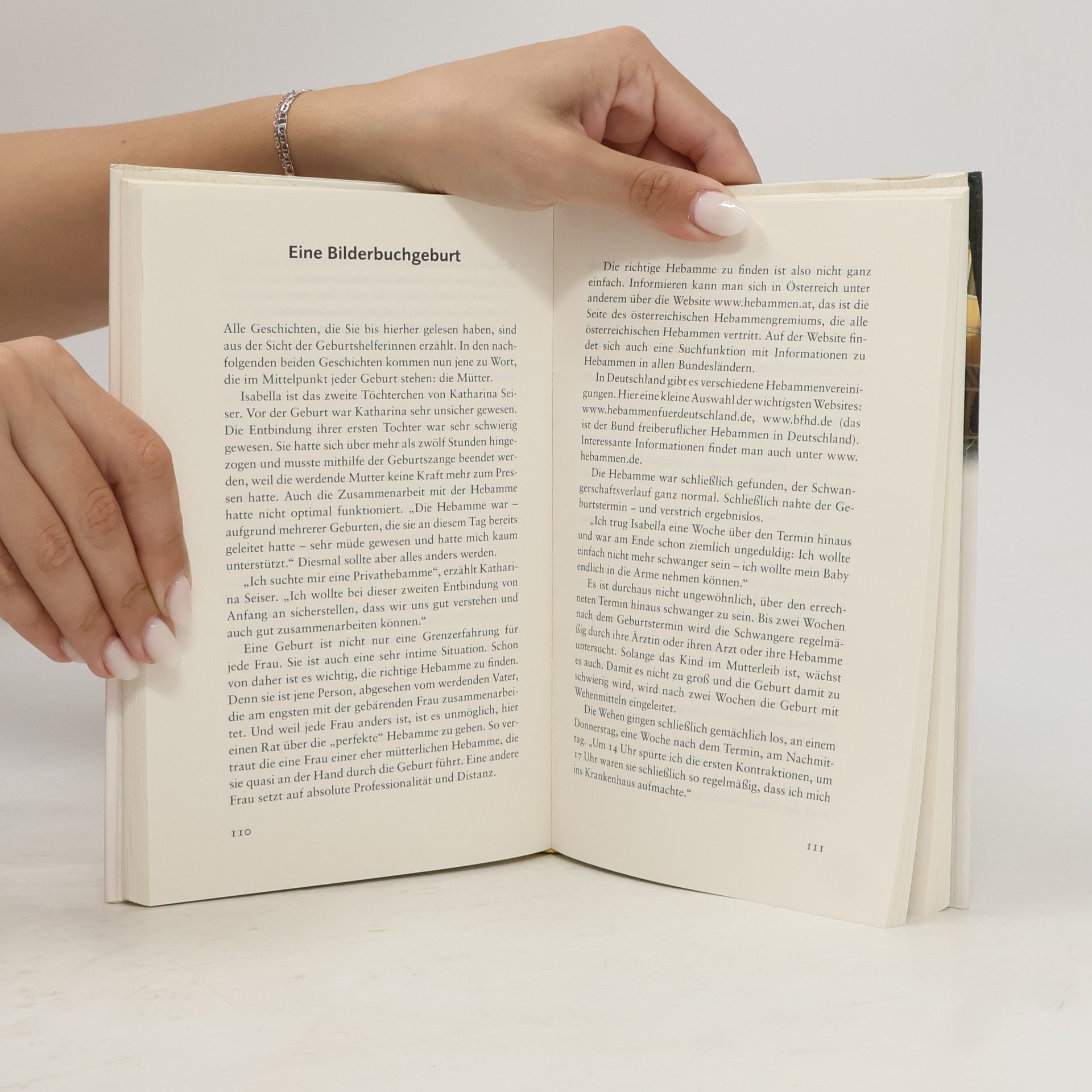 Sabine Fisch In die Welt gelacht