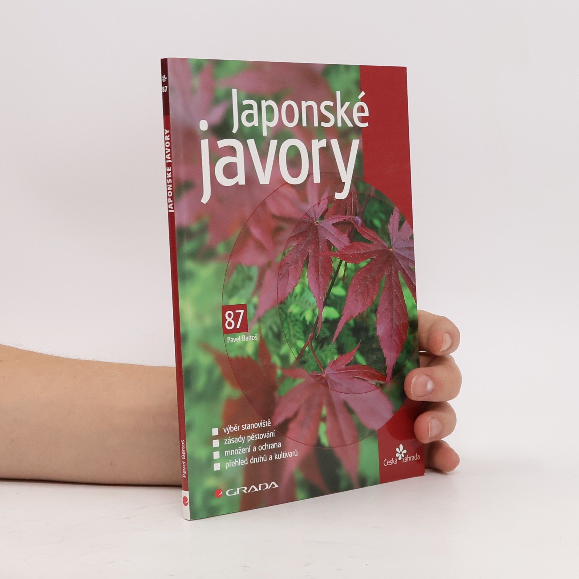 Pavel Bartoš Japonské javory