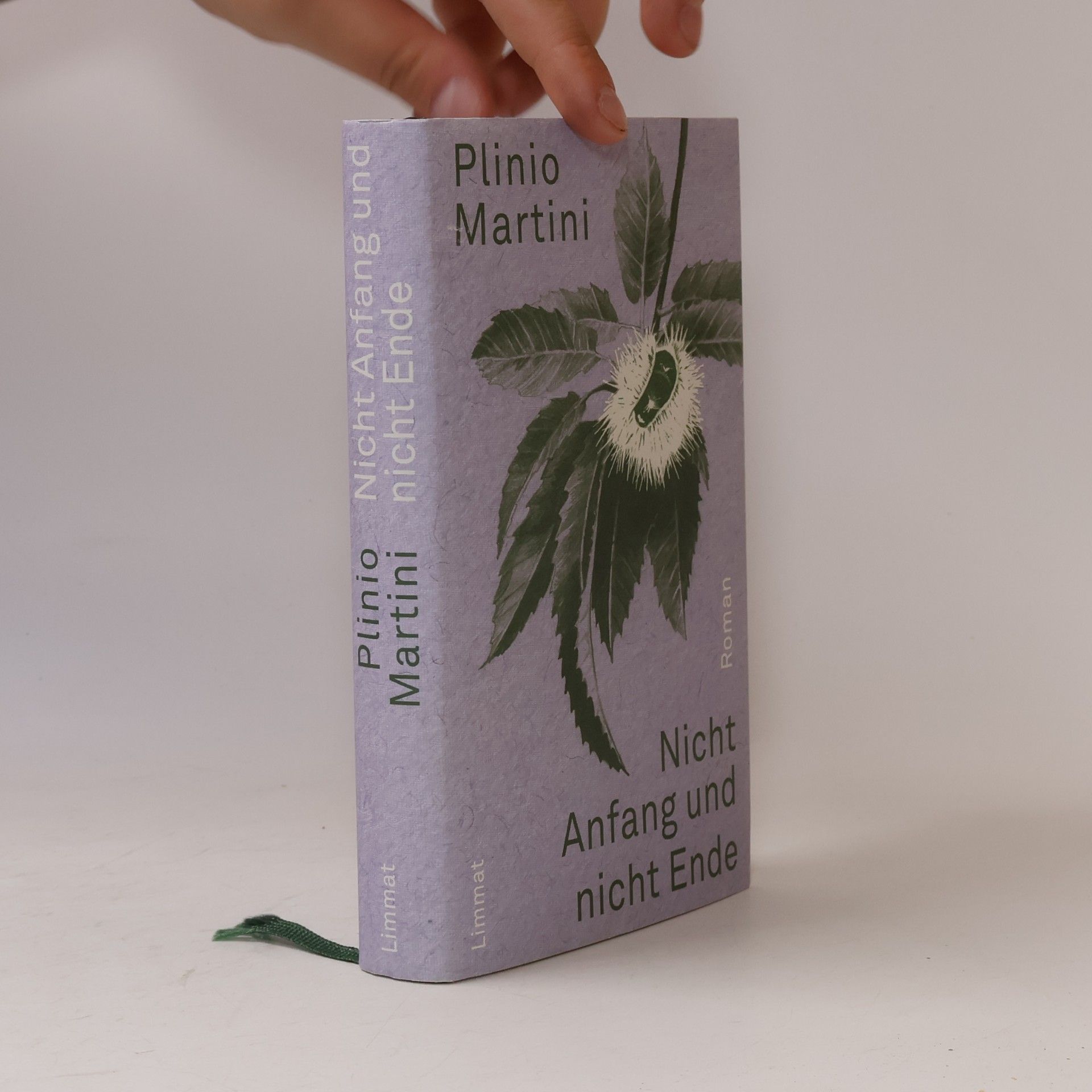 Plinio Martini Nicht Anfang und nicht Ende