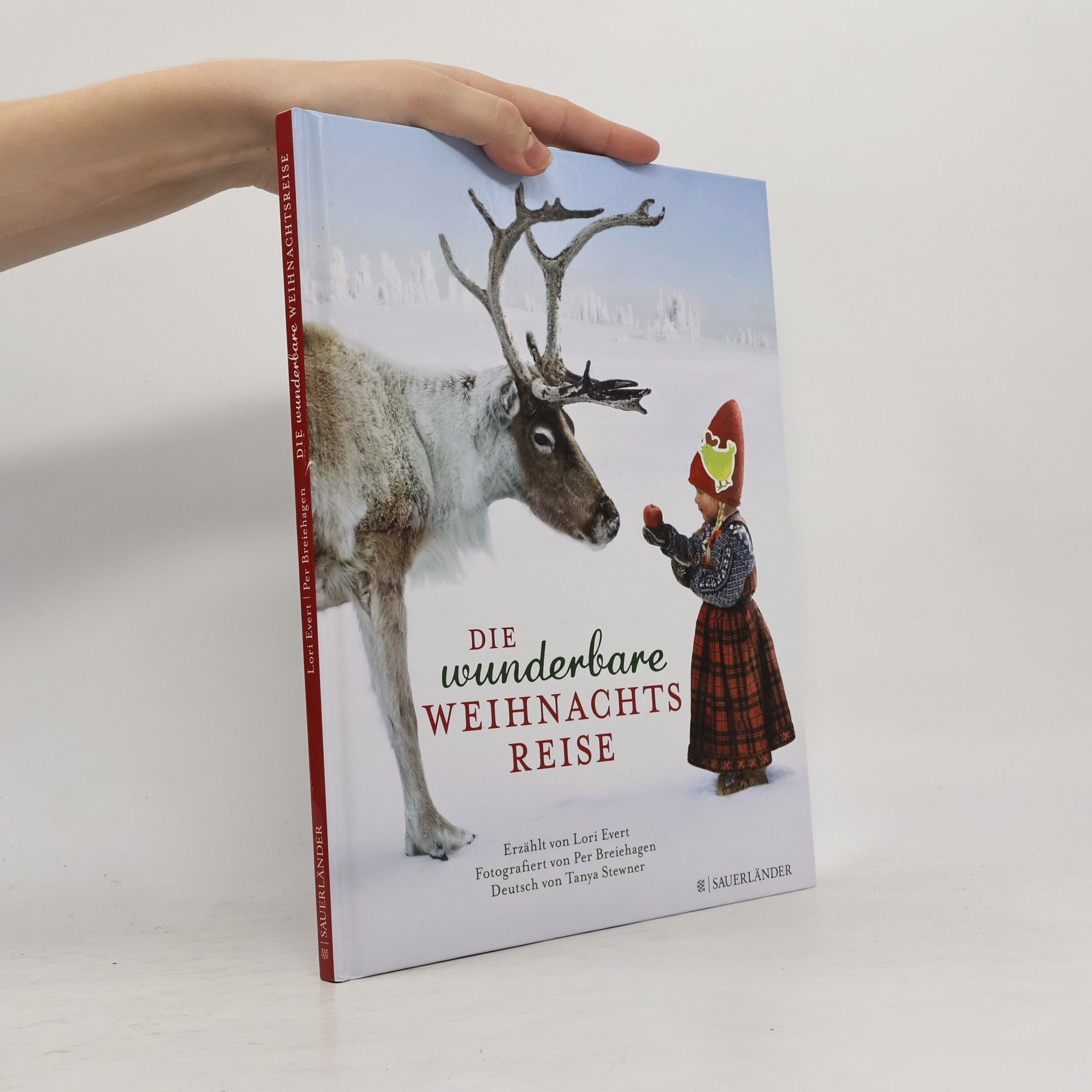 Lori Evert Die wunderbare Weihnachtsreise