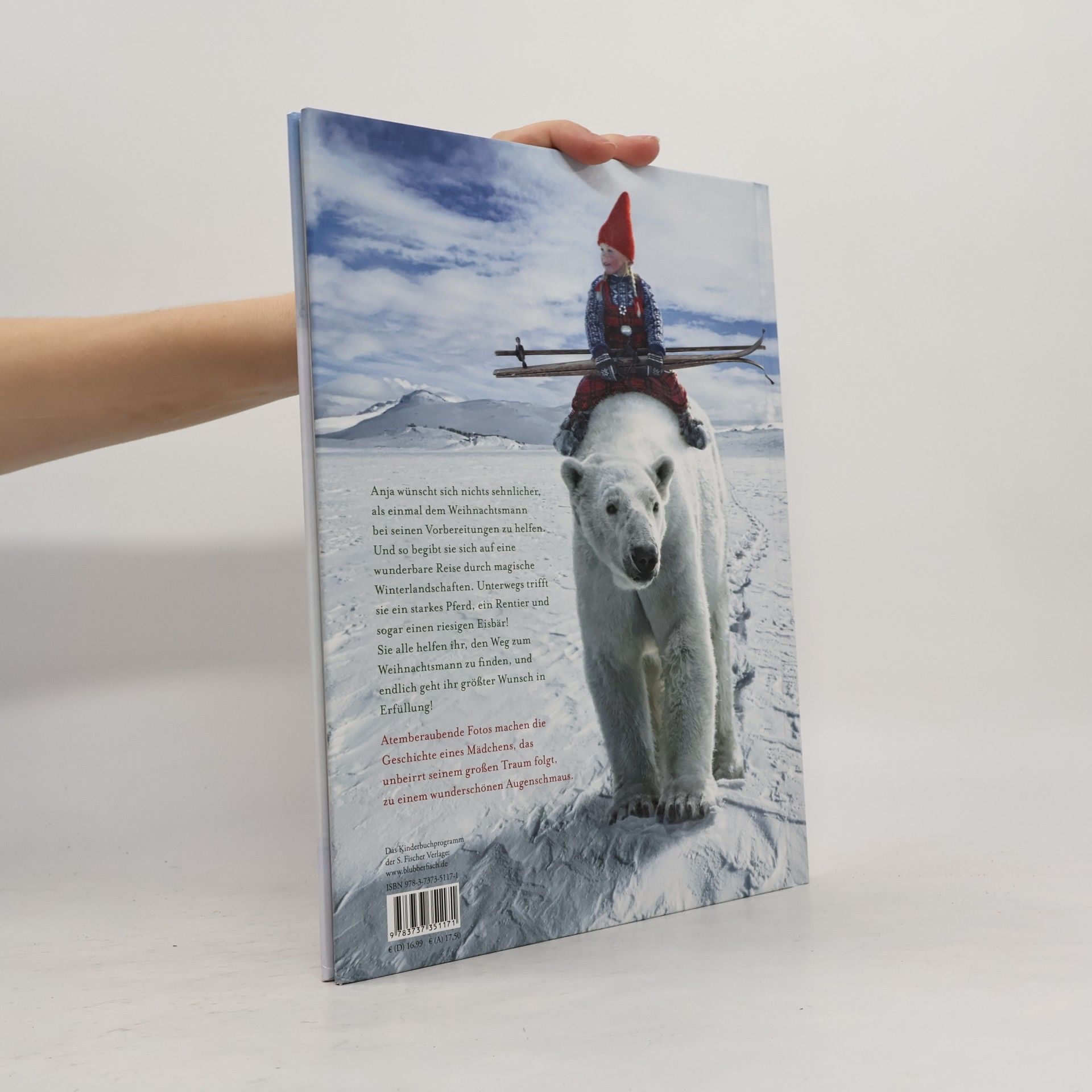 Lori Evert Die wunderbare Weihnachtsreise