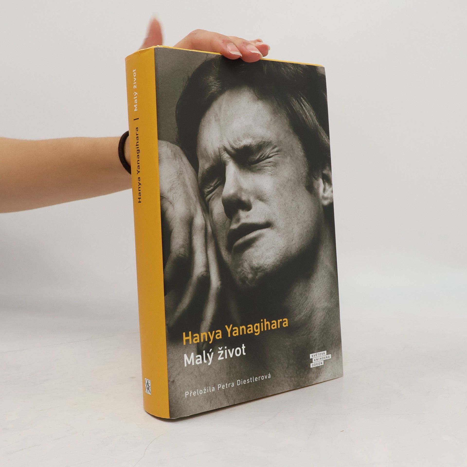 Hanya Yanagihara Malý život
