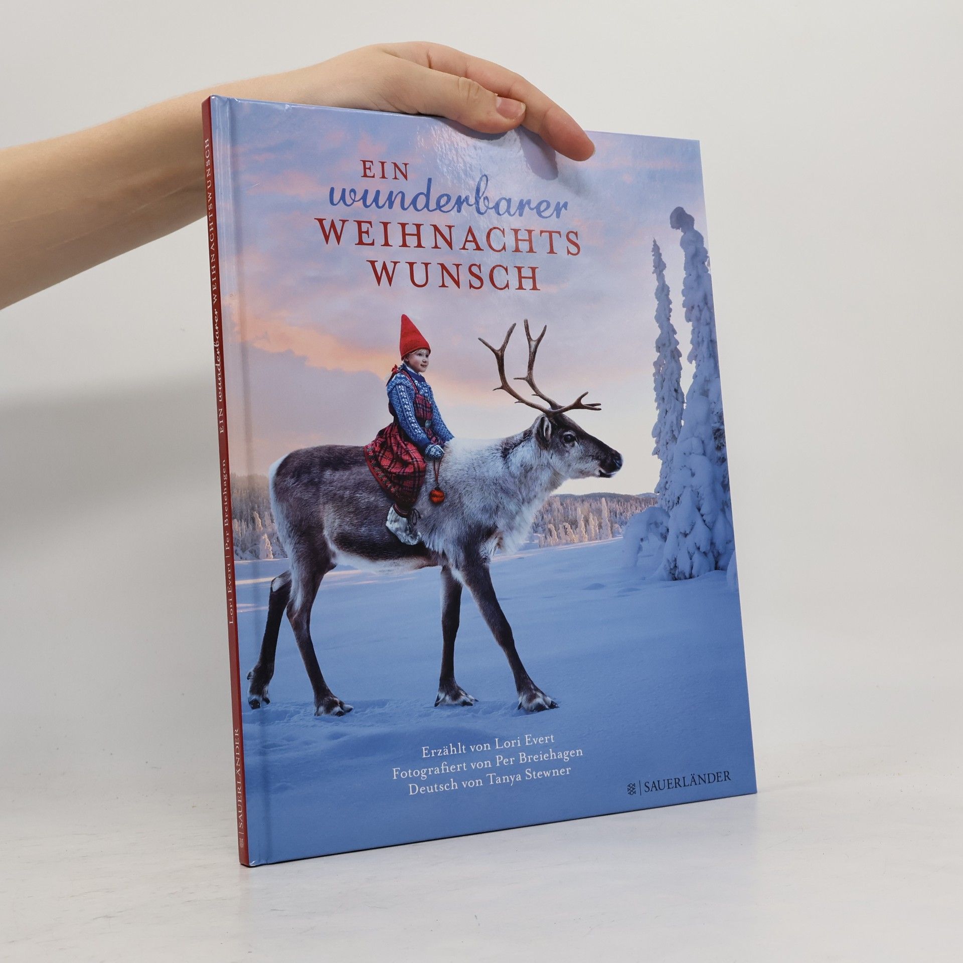 Lori Evert Ein wunderbarer Weihnachtswunsch