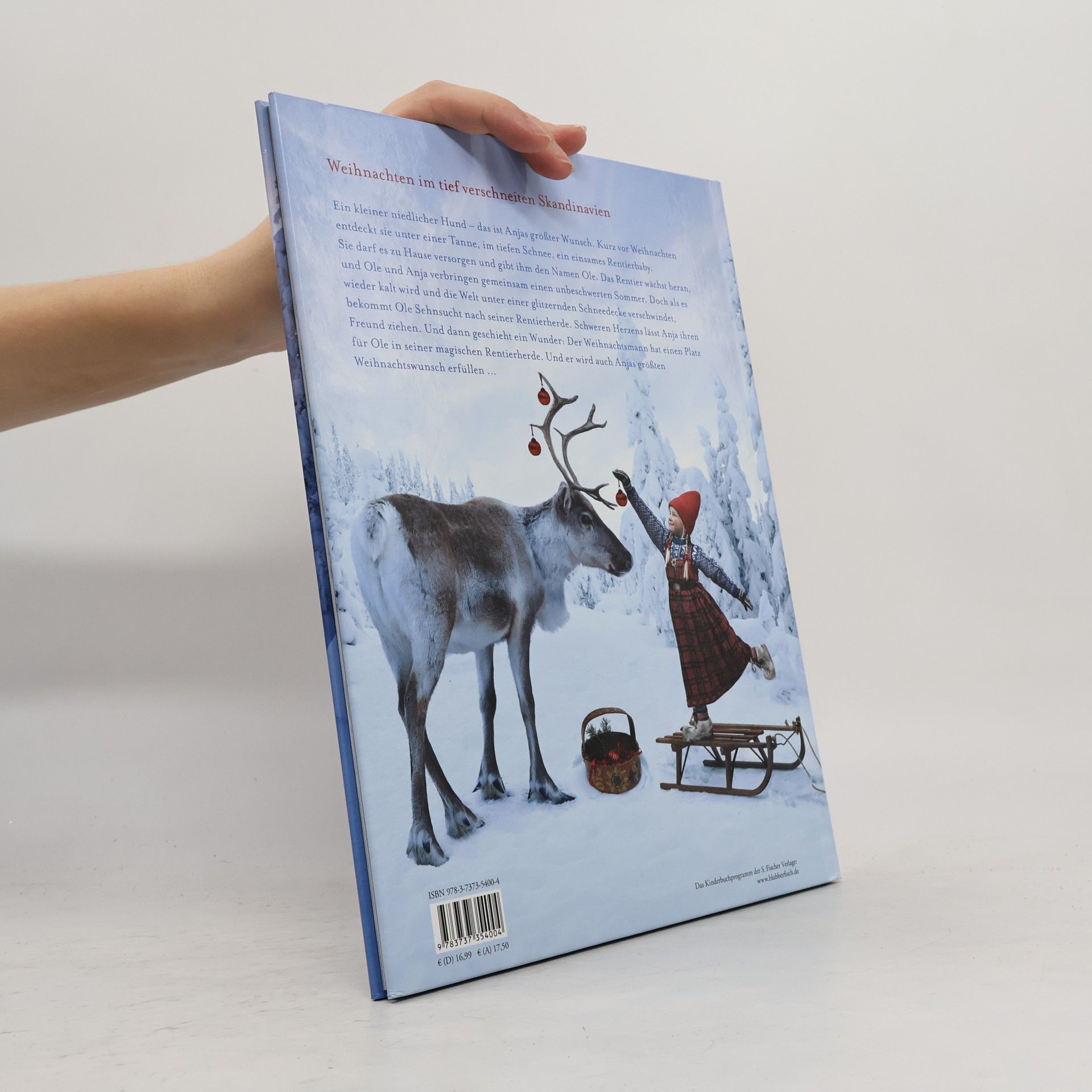 Lori Evert Ein wunderbarer Weihnachtswunsch
