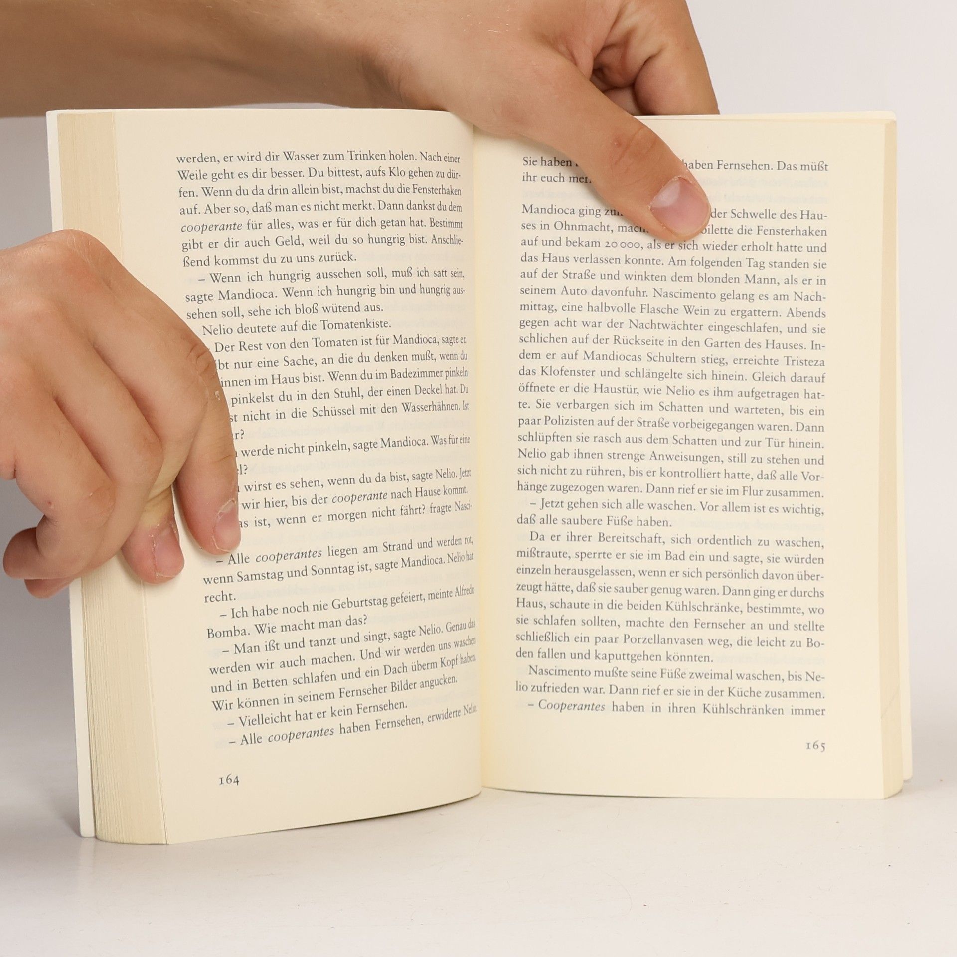Henning Mankell Der Chronist der Winde