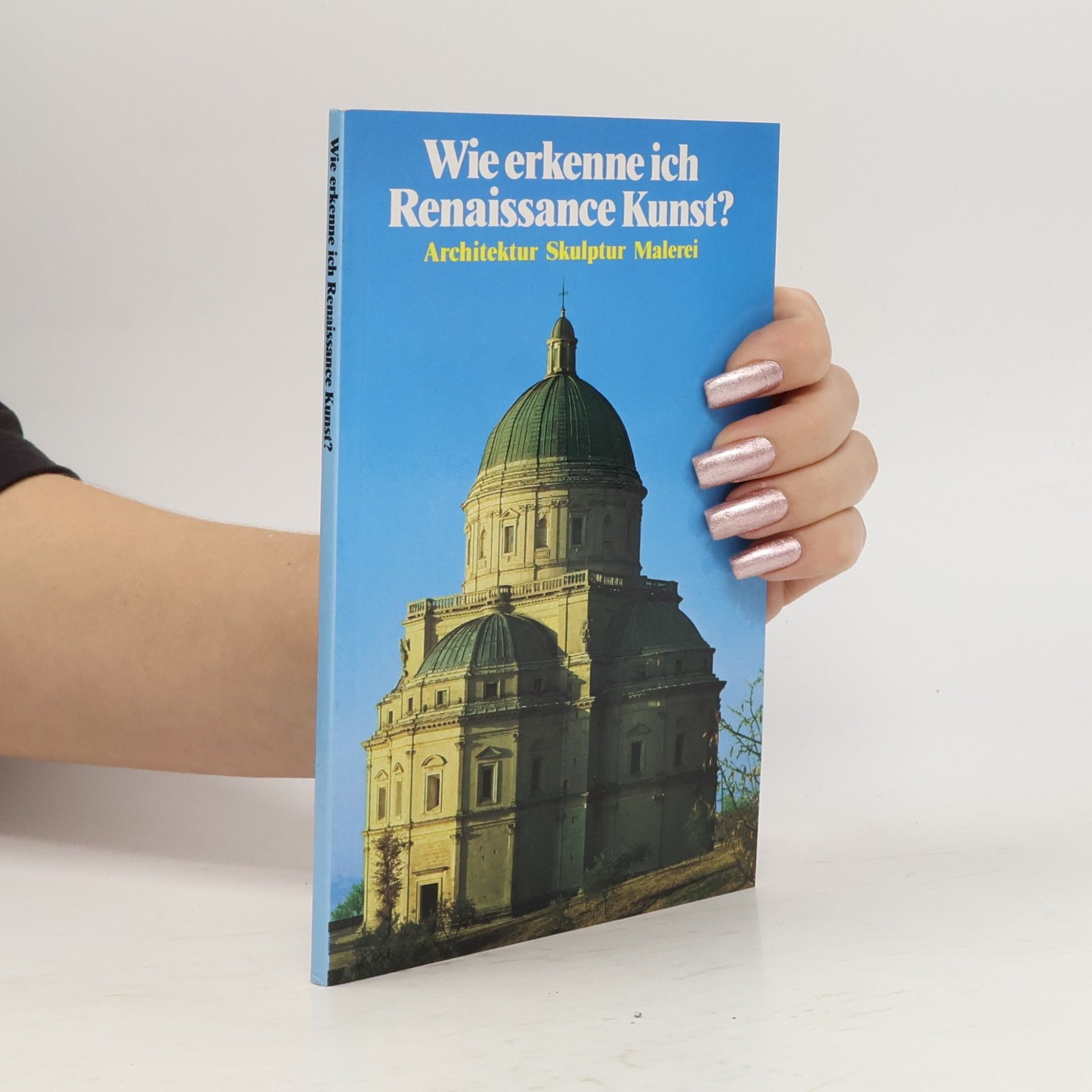 Collectif d'auteurs Wie erkenne ich Renaissance Kunst?