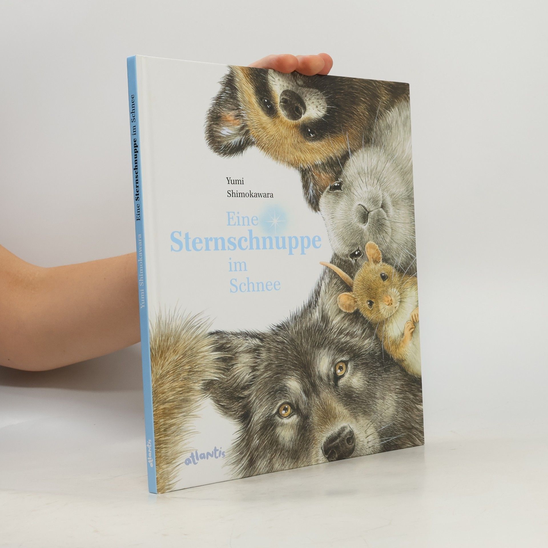 Yumi Shimokawara Eine Sternschnuppe im Schnee