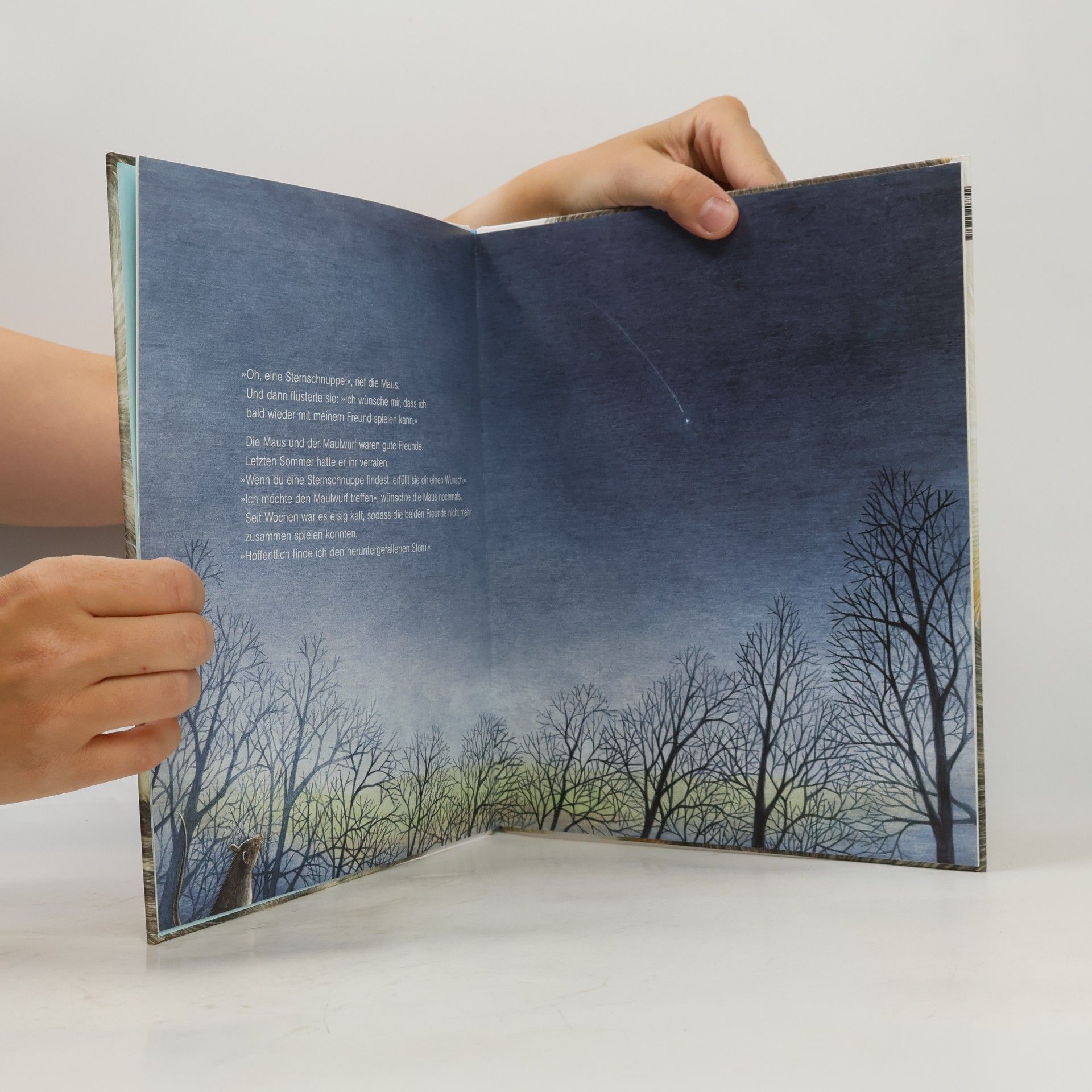 Yumi Shimokawara Eine Sternschnuppe im Schnee