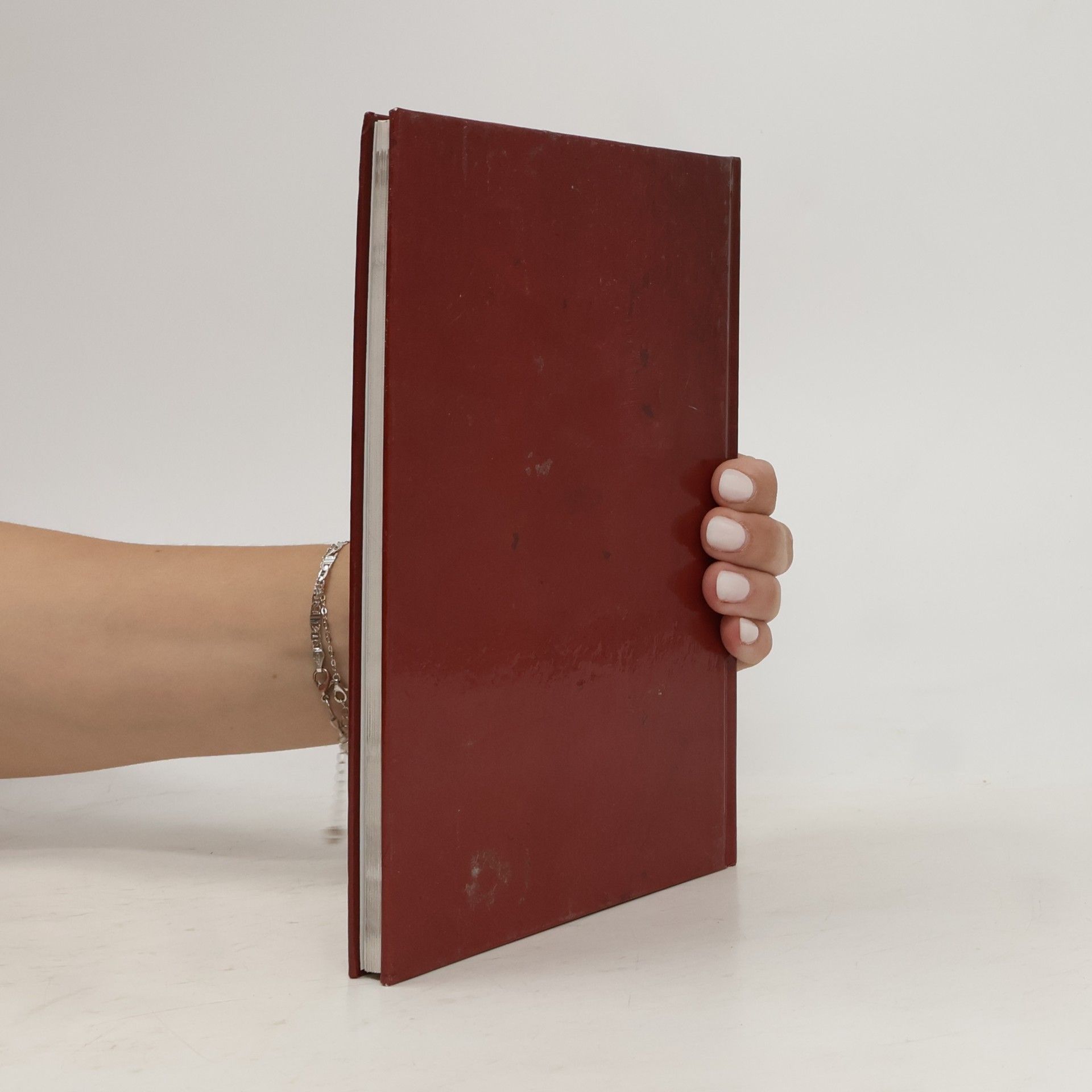 Collectif d'auteurs Neufelder Schmankerl Kochbuch