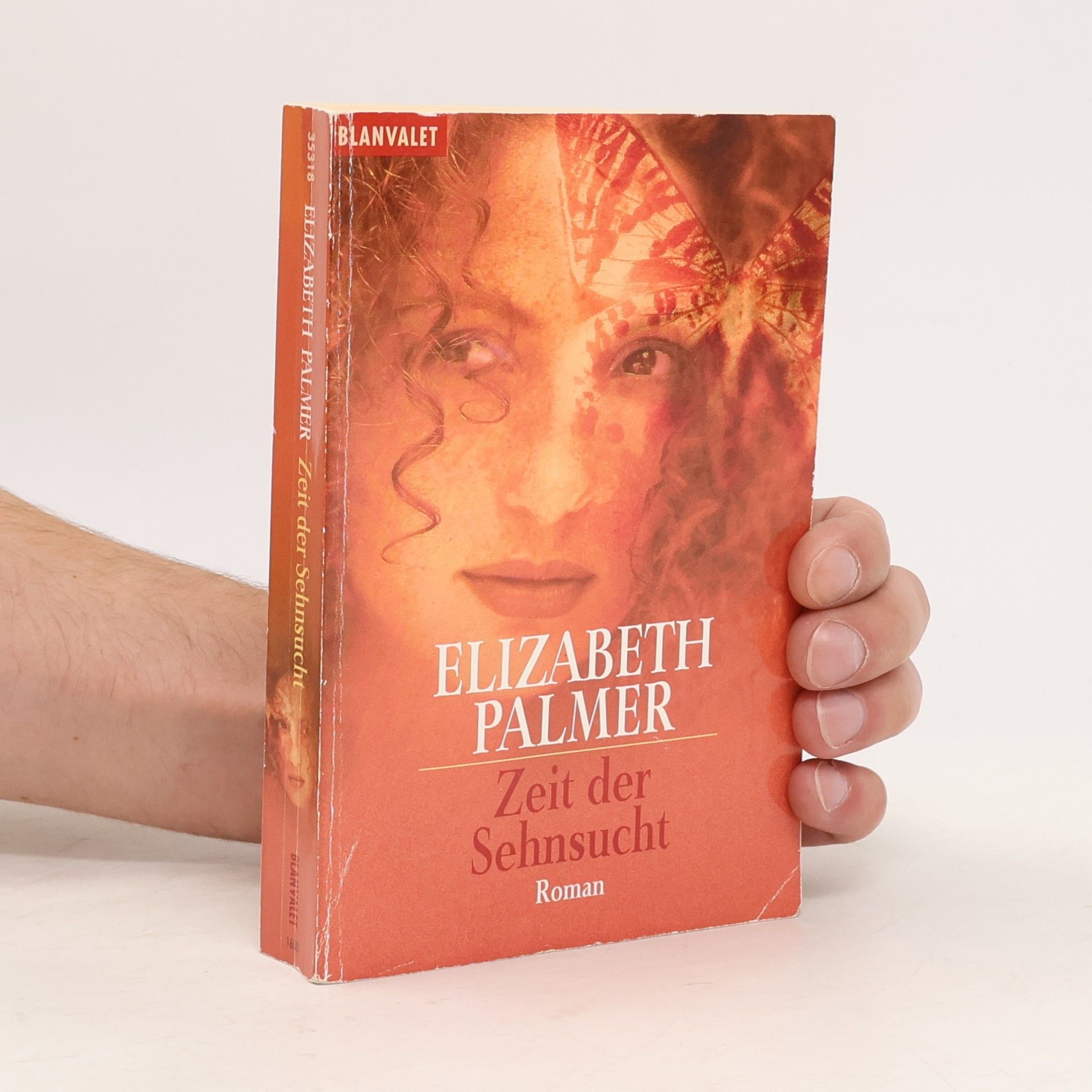 Elizabeth Palmer Zeit der Sehnsucht