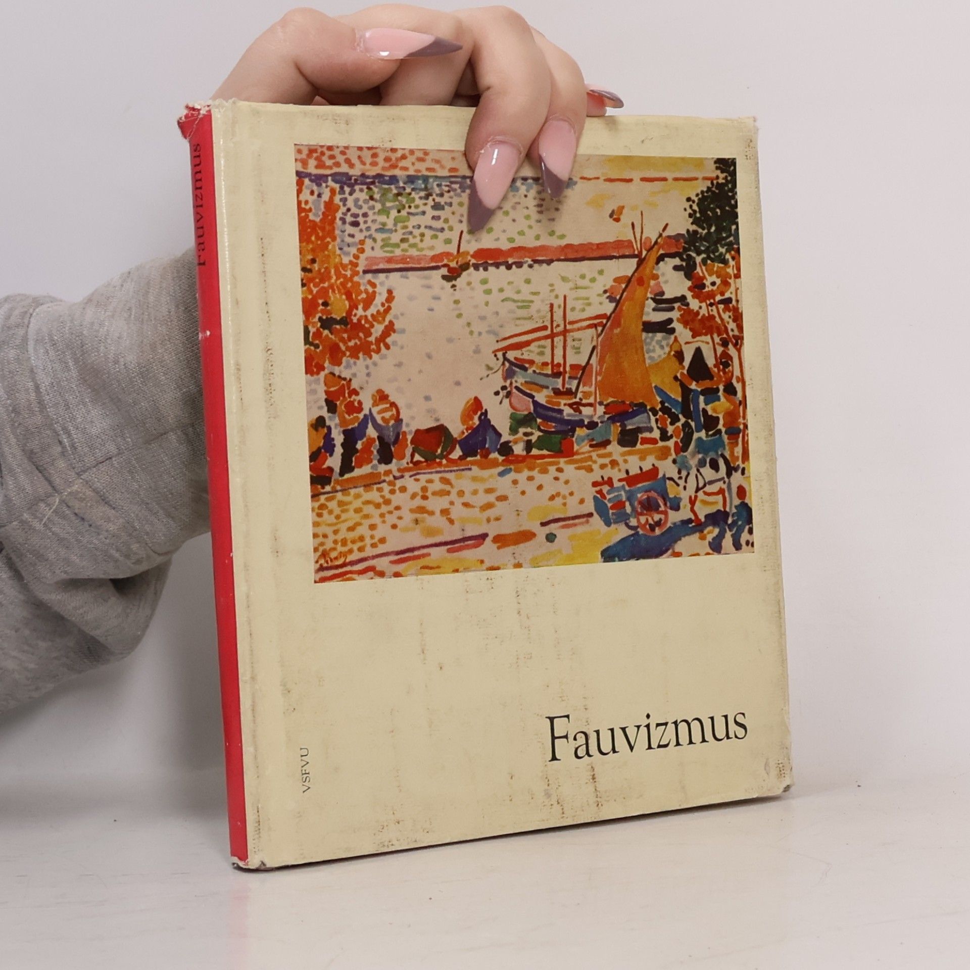 Jiří Kostka Fauvizmus
