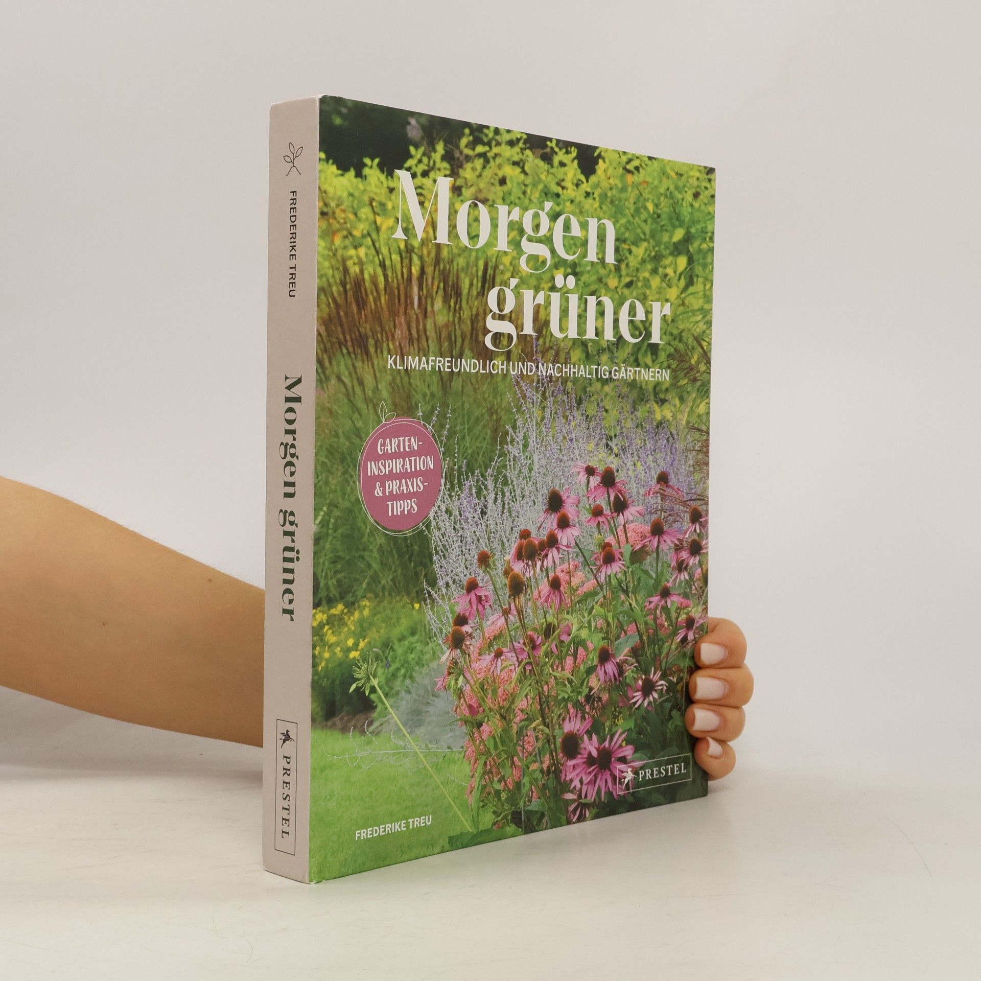 Frederike Treu Morgen grüner