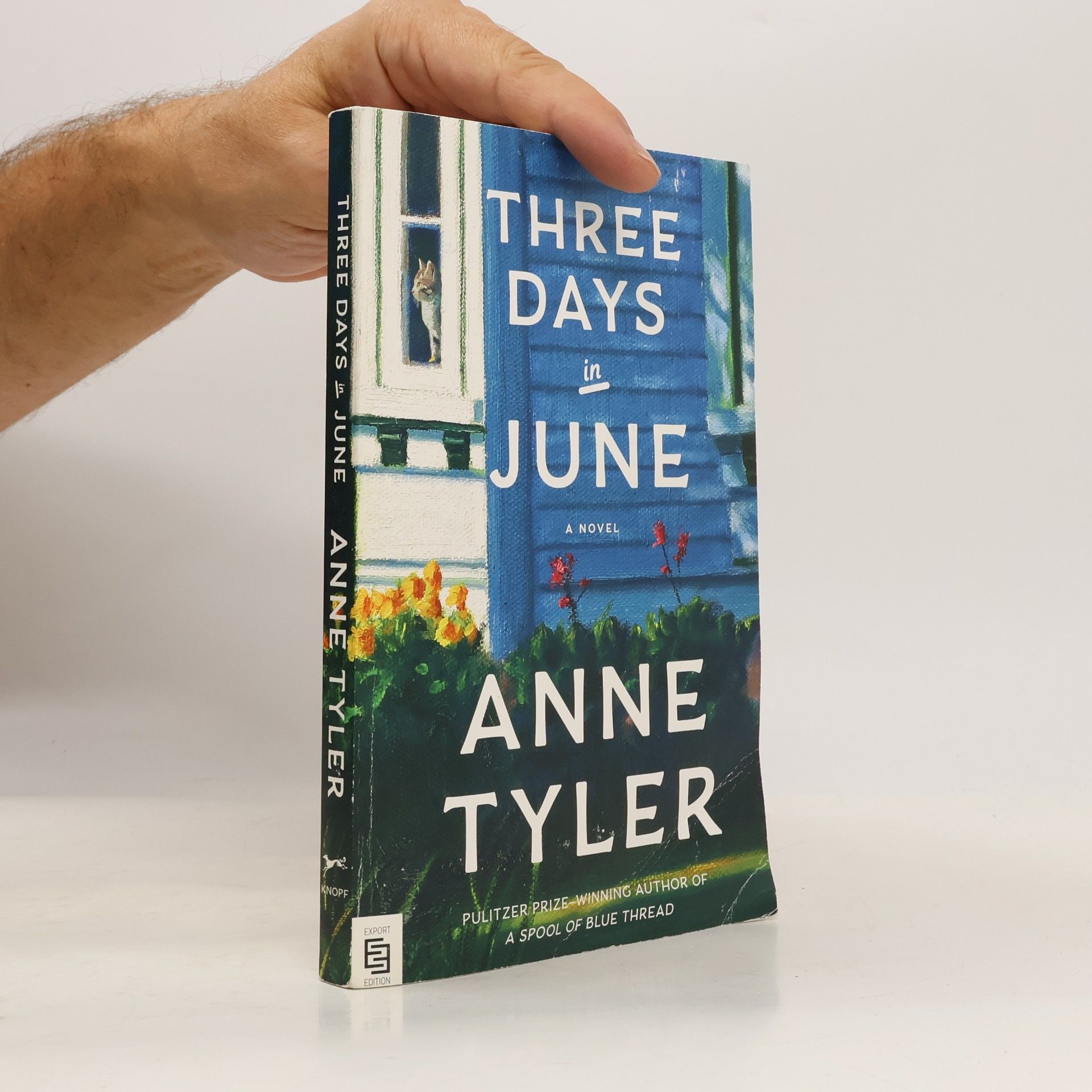 Anne Tyler Three Days in June: A Novel - Export Edition