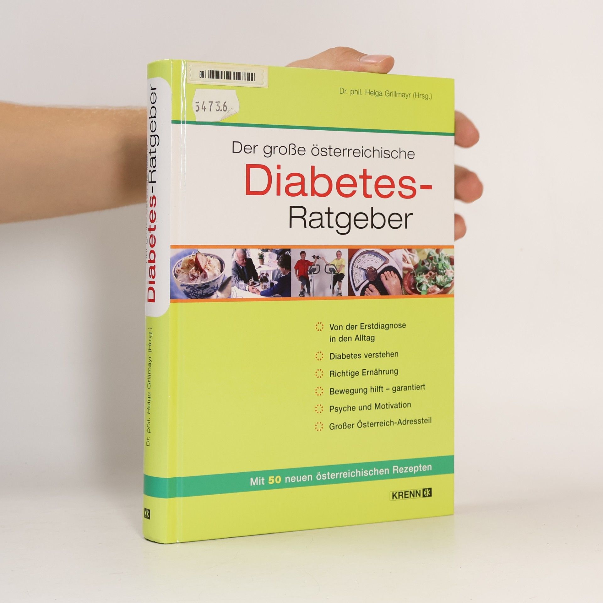 Helga Grillmayr Der große österreichische Diabetiker-Ratgeber