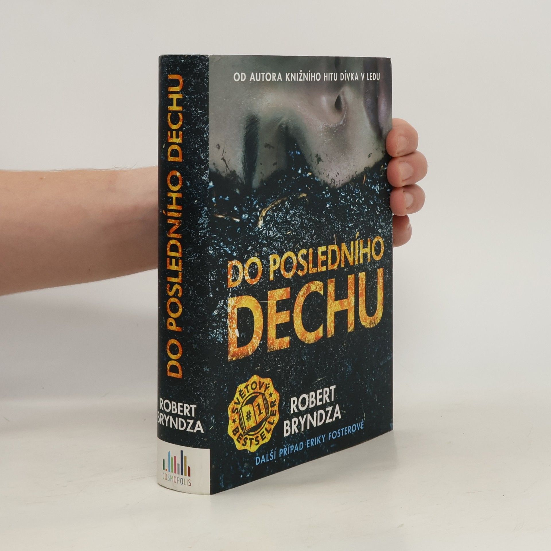 Robert Bryndza Do posledního dechu