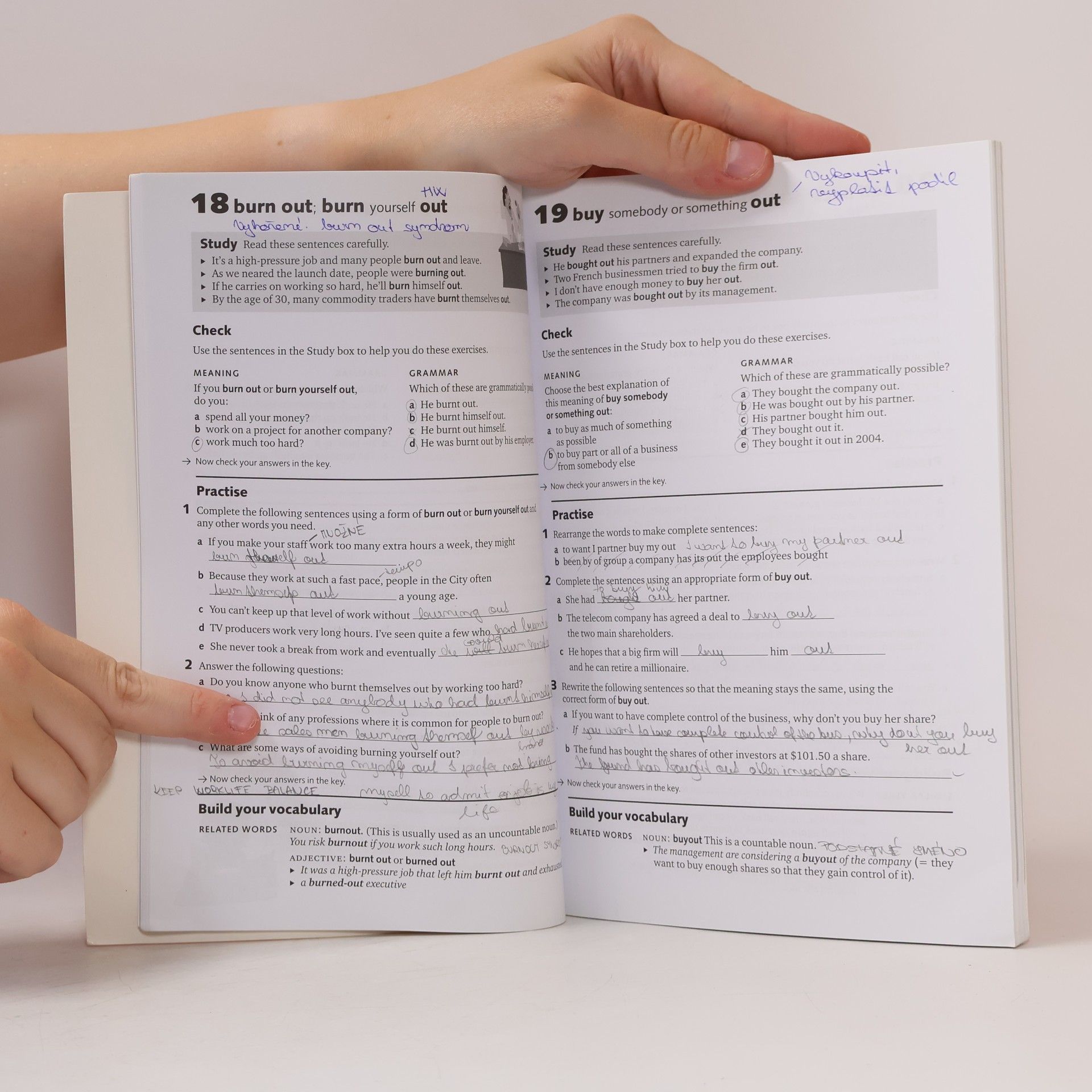 Autorenkollektiv Really Learn 100 Phrasal Verbs for Business