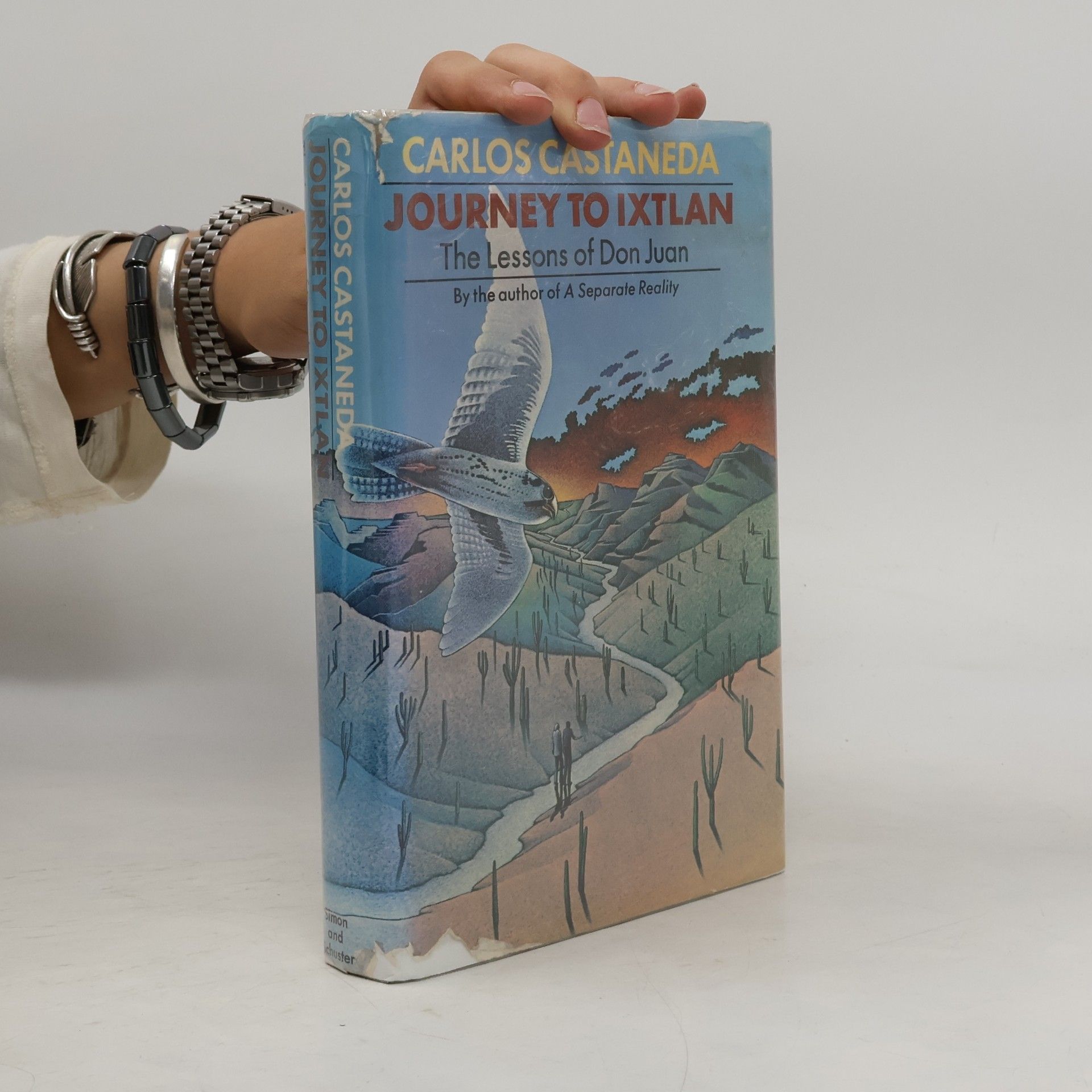 Carlos Castañeda Journey To Ixtlan