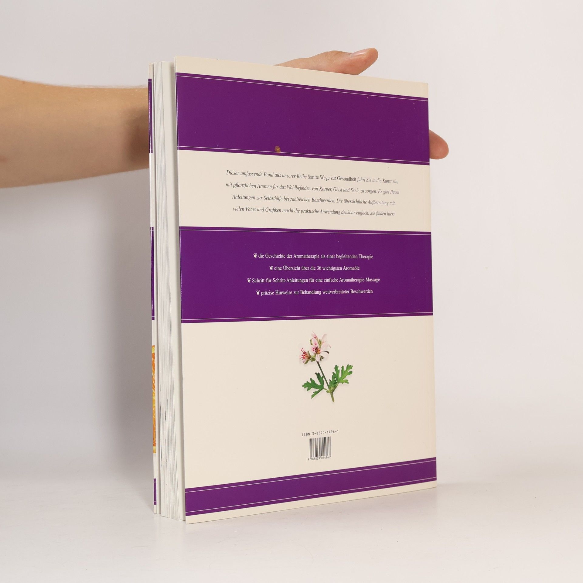 Clare Walters Aromatherapie - Sanfte Wege zur Gesundheit