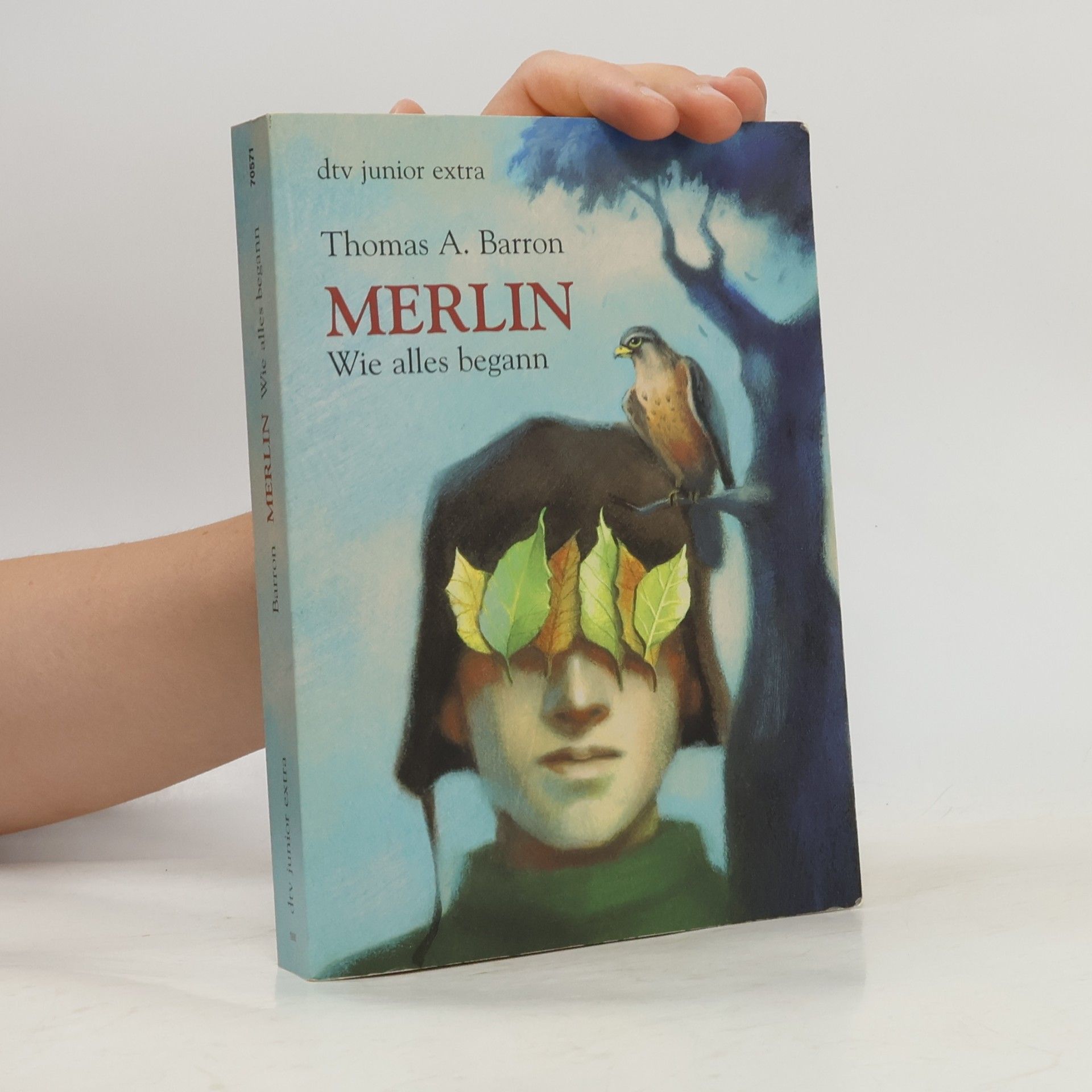 Merlin. Wie alles begann