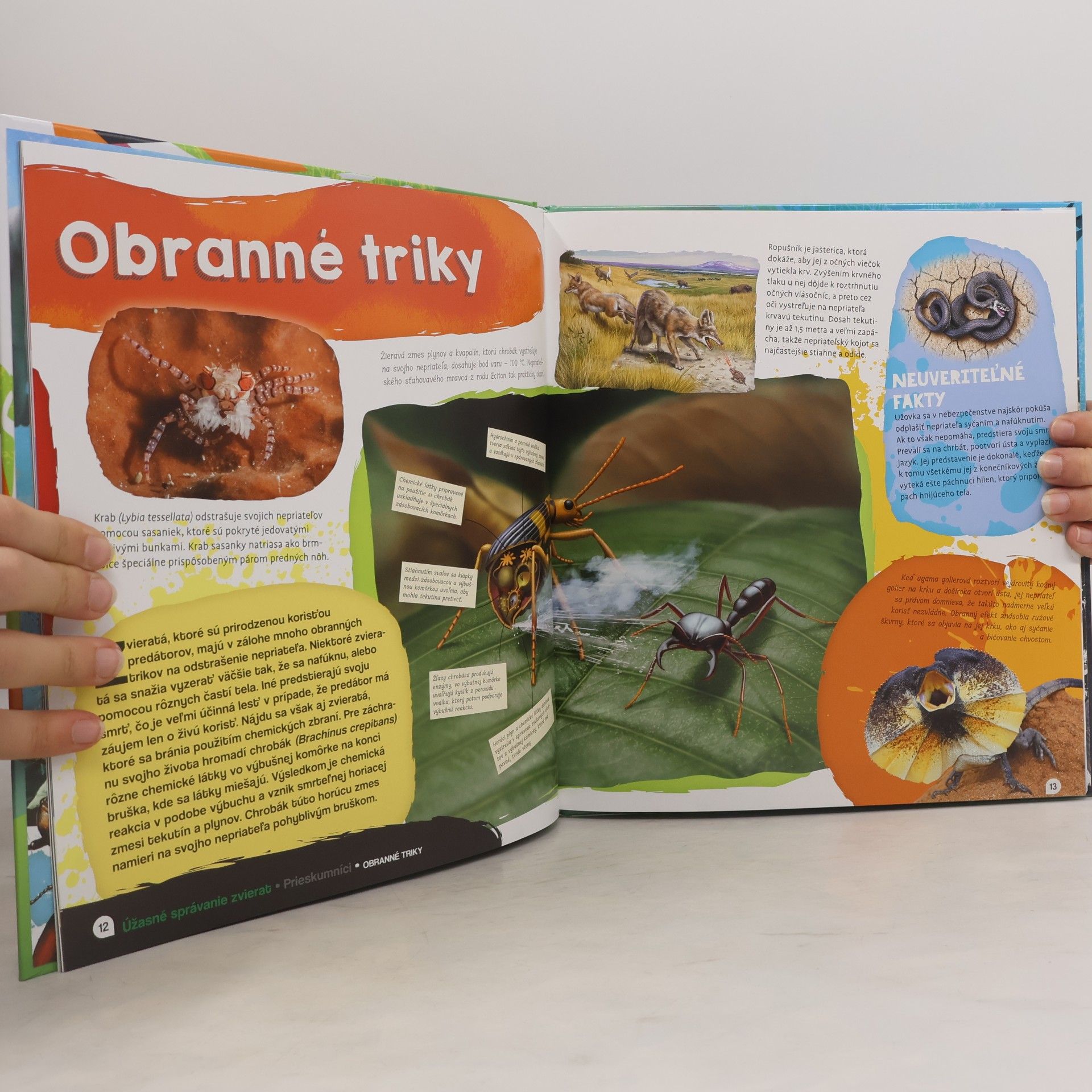 Ilona Bagoly Úžasné správanie zvierat