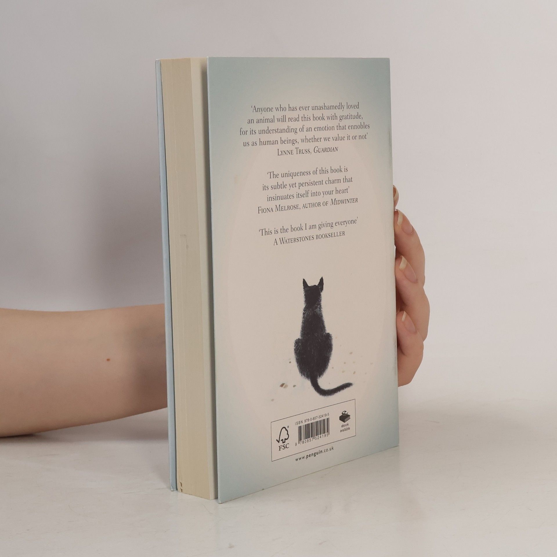 Hiro Arikawa The travelling cat chronicles