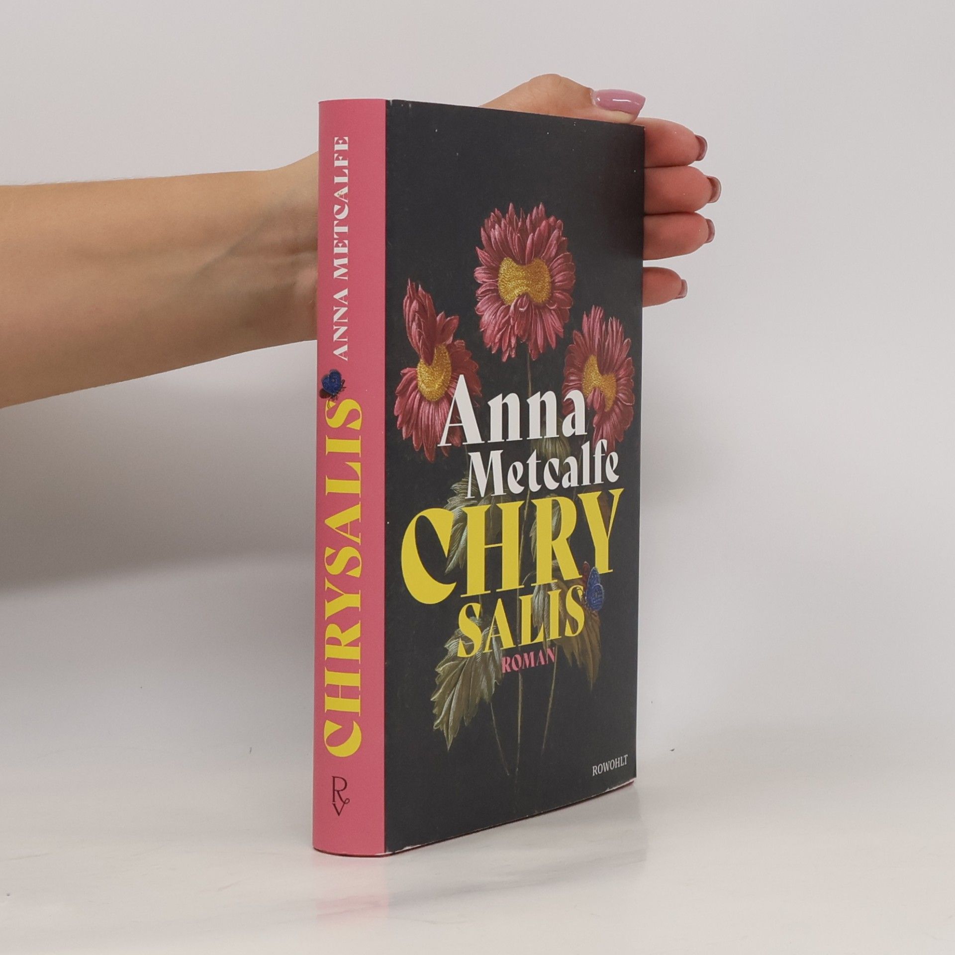 Anna Metcalfe Chrysalis