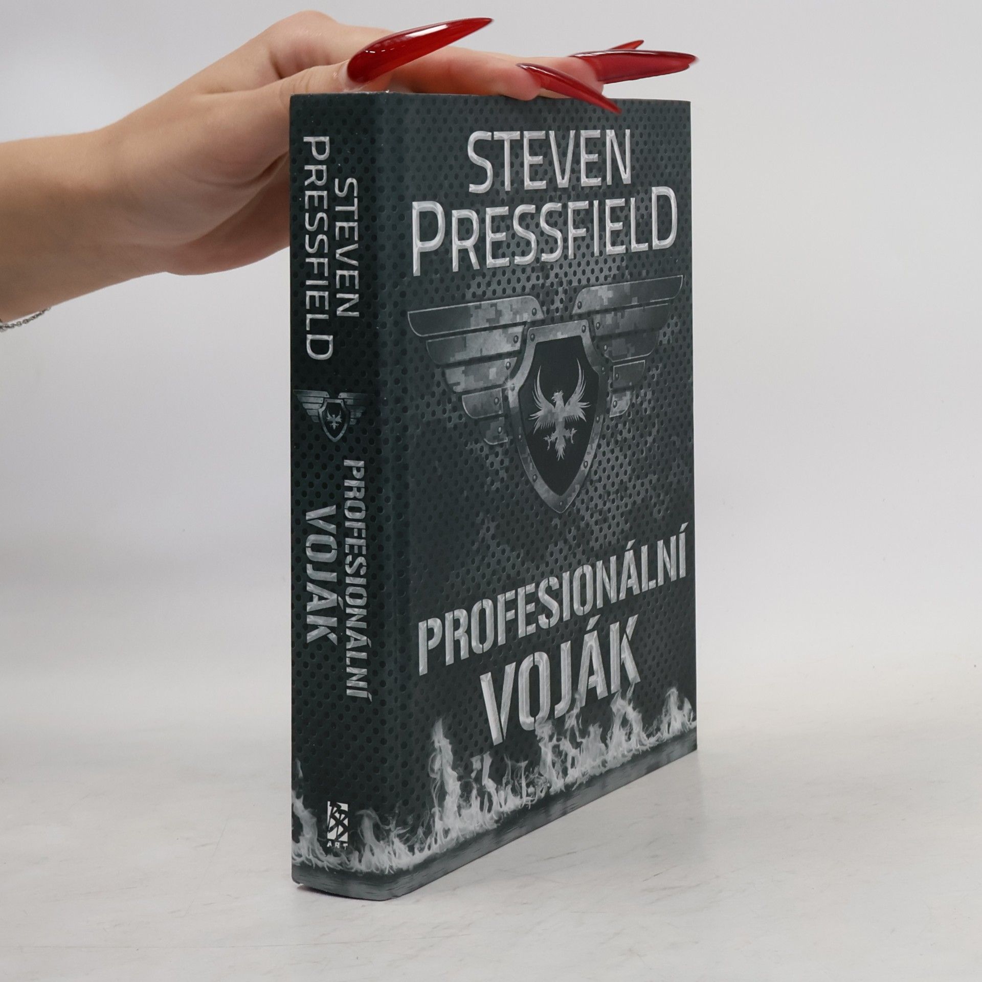 Profesionální voják