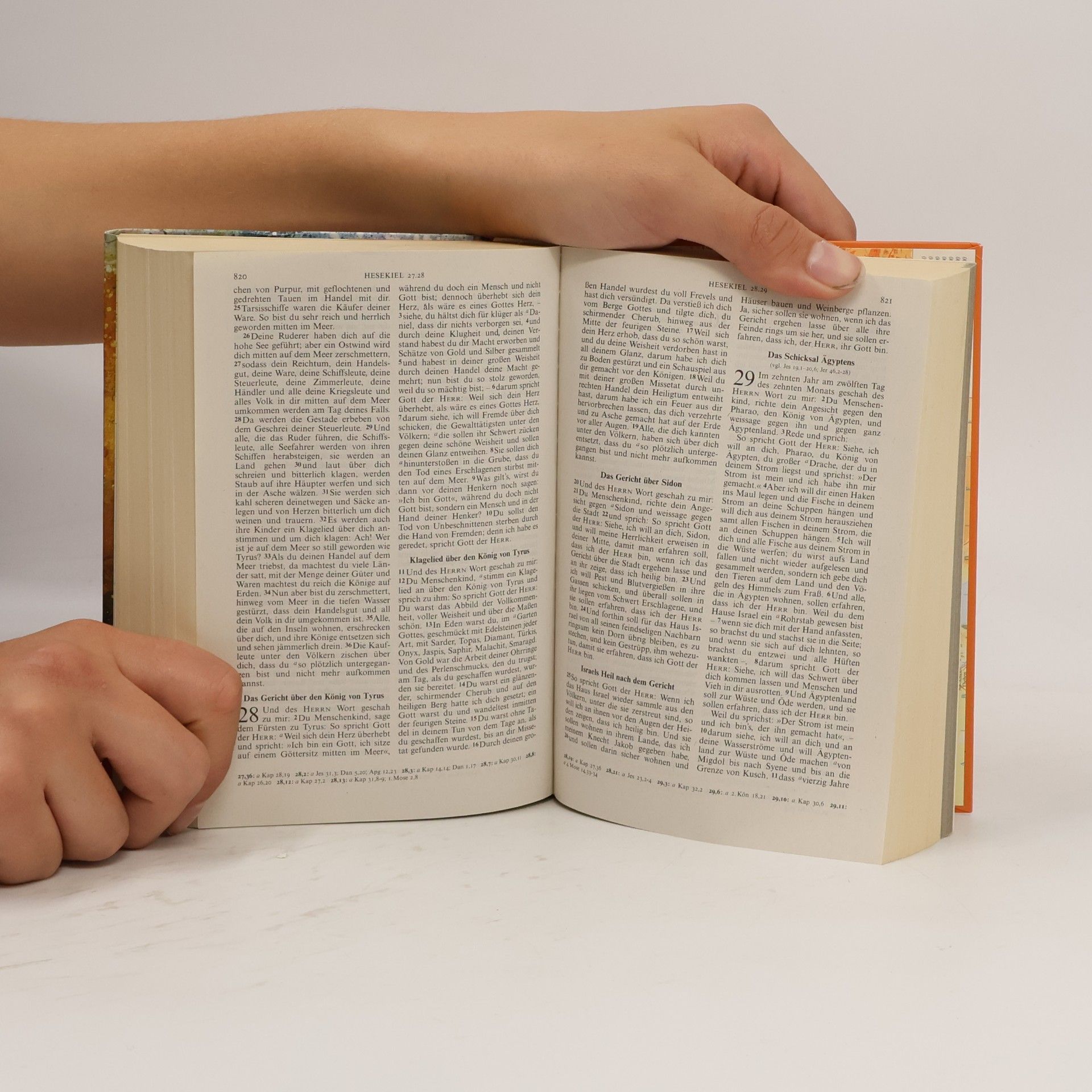 Martin Luther Die Bibel