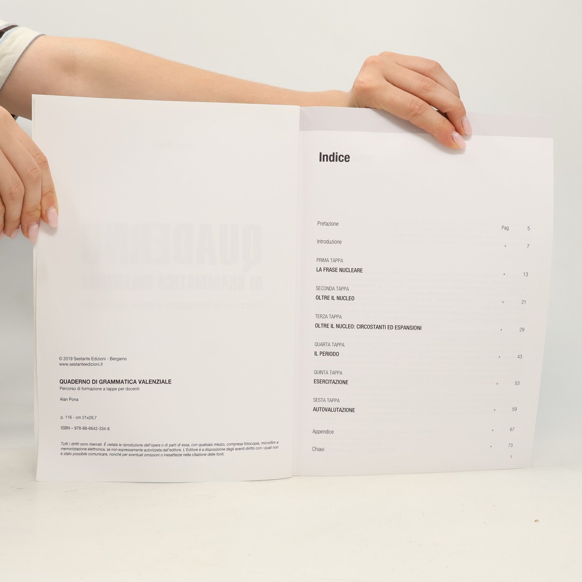 Alan Pona Quaderno di grammatica valenziale. Percorsi di formazione a tappe per docenti