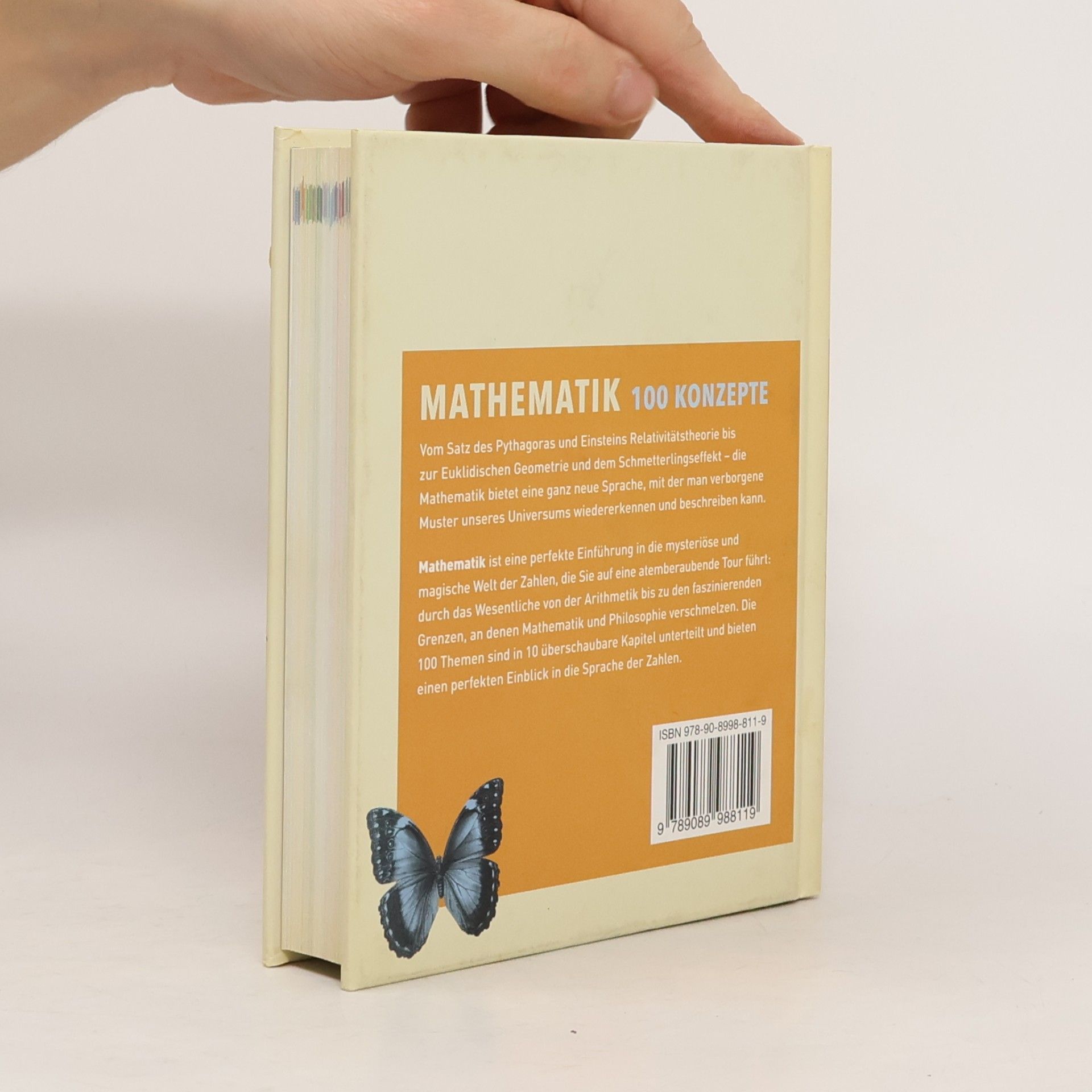 Marianne Freiberger Mathematik - 100 Konzepte