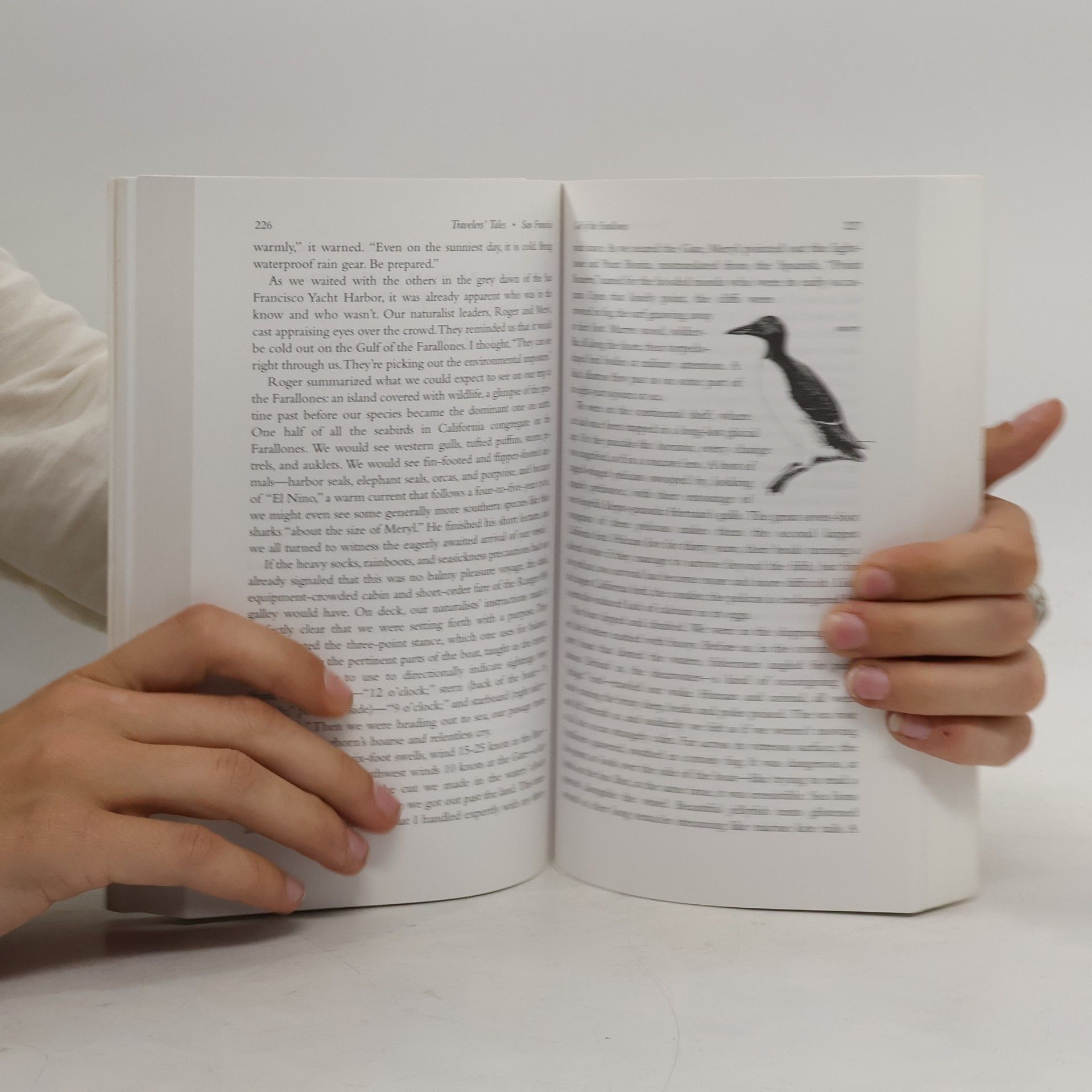 James O. Reilly Travelers' Tales San Francisco (City Guide)