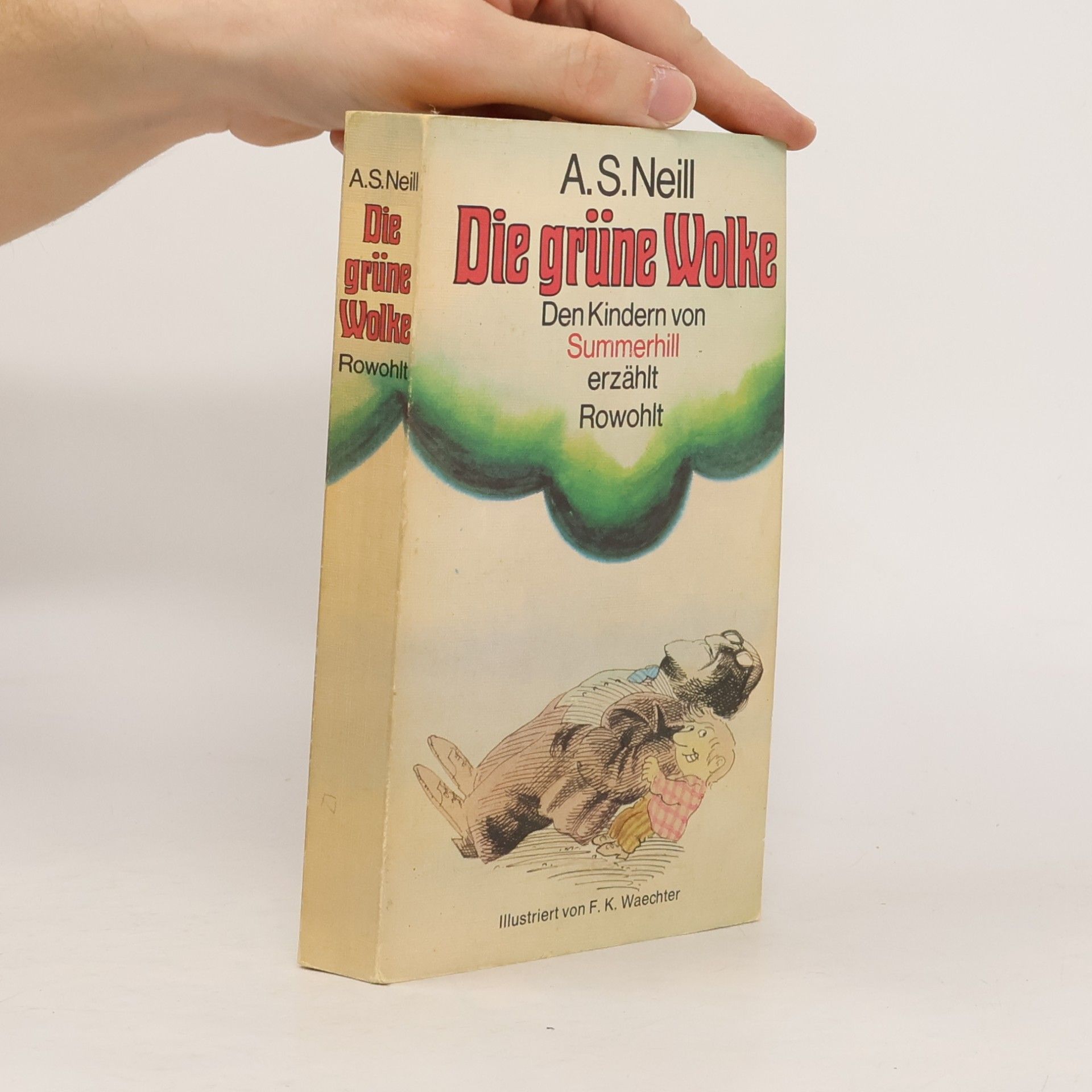 Die grüne Wolke