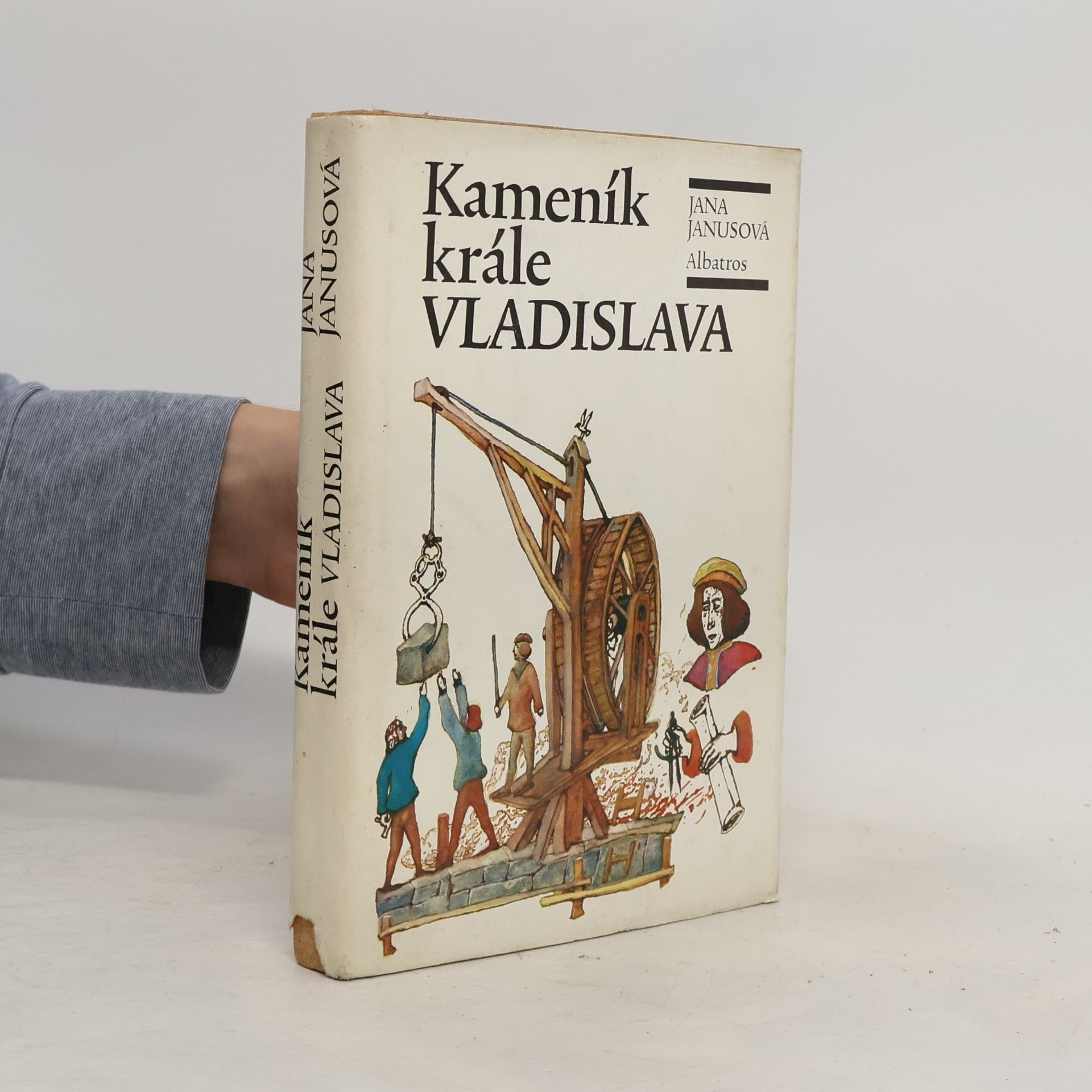 Jana Janusová Kameník krále Vladislava