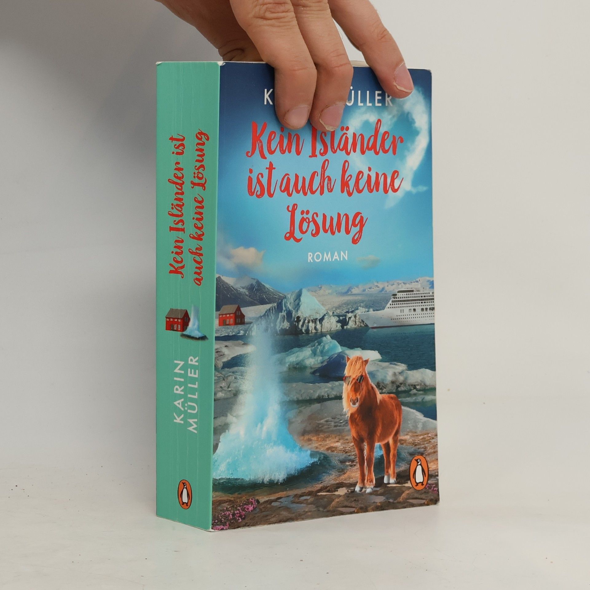 Karin Elke Kein Isländer ist auch keine Lösung