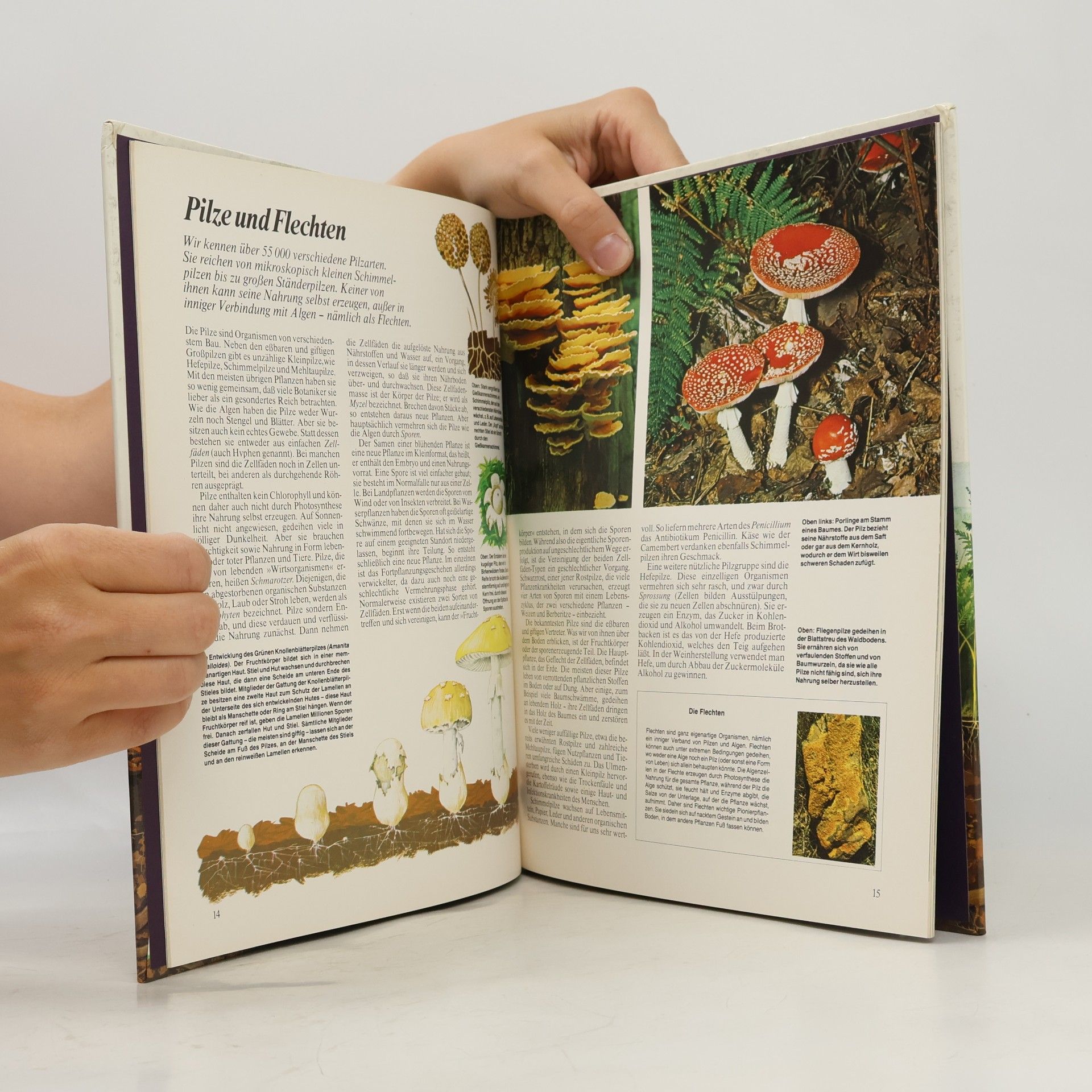 Jonathan Rutland Das Pflanzenreich