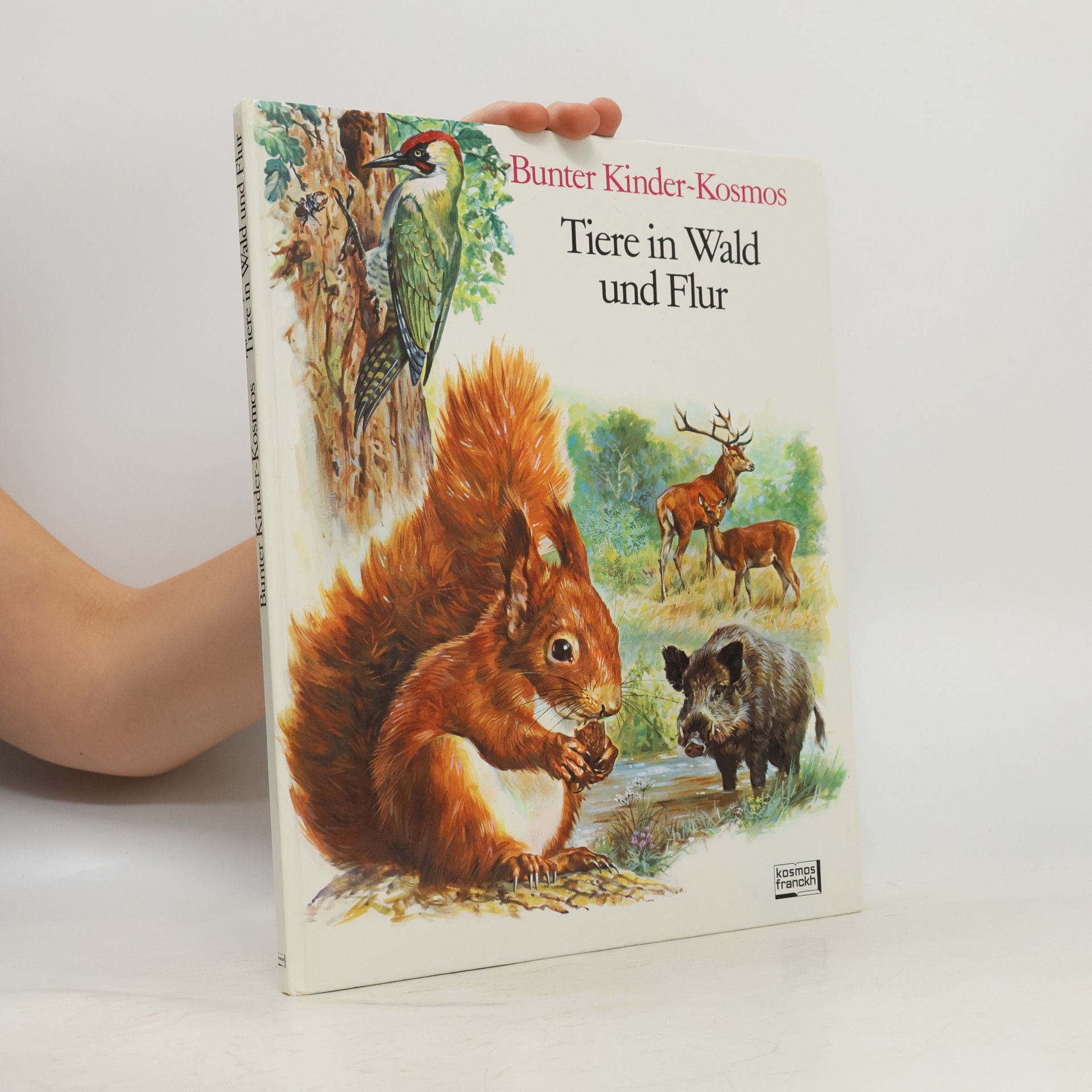 Rinaldo D. D'Ami Tiere in Wald und Flur