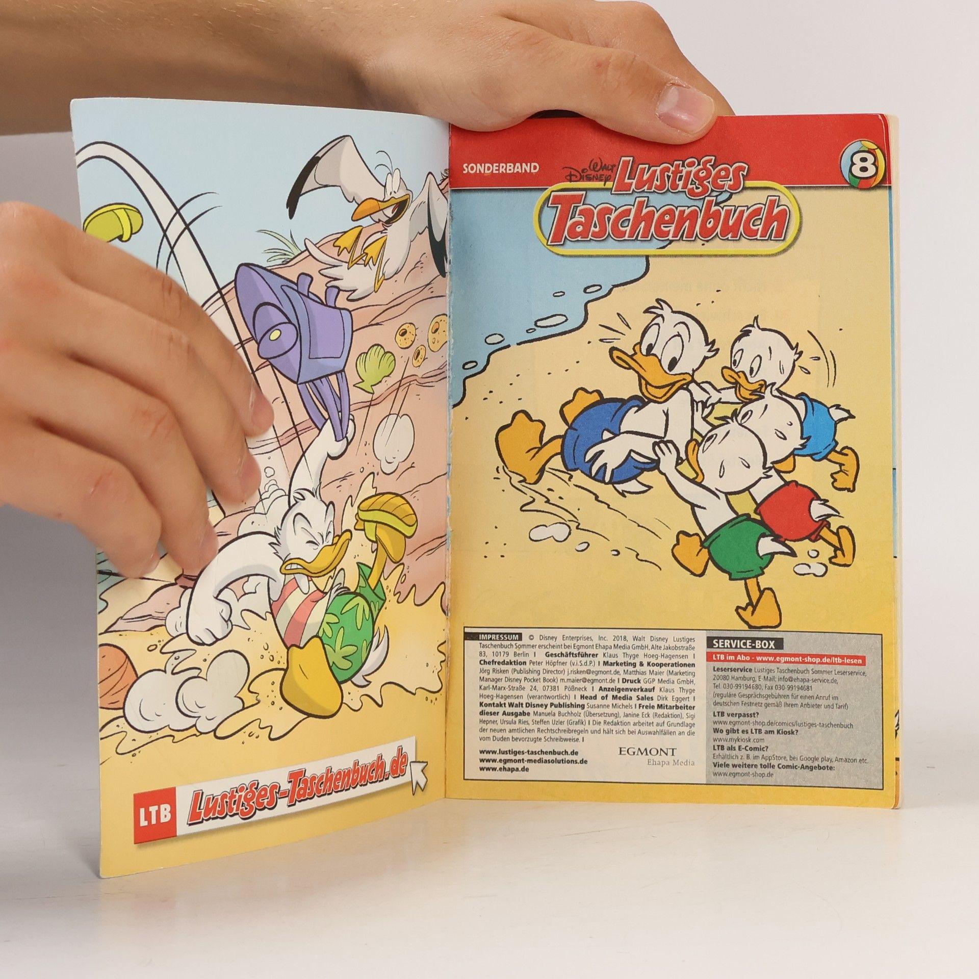Walt Disney Lustiges Taschenbuch 8. Sommergeschichten