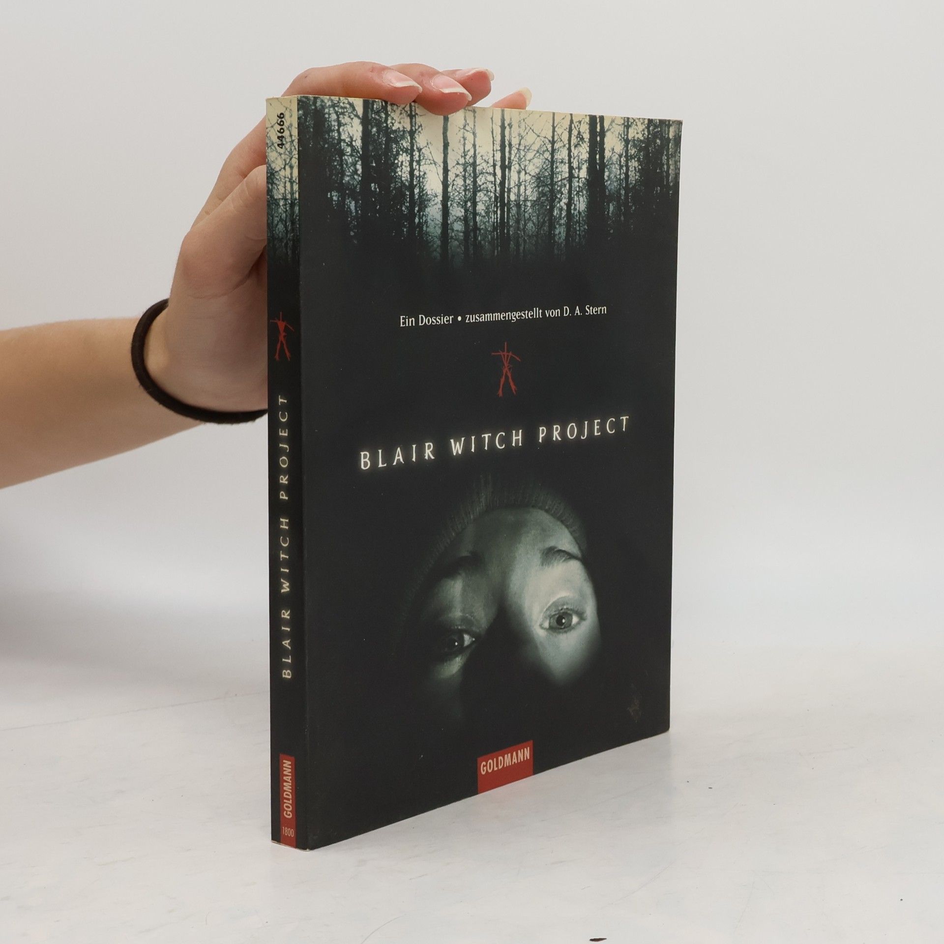 Dave Stern Blair witch project