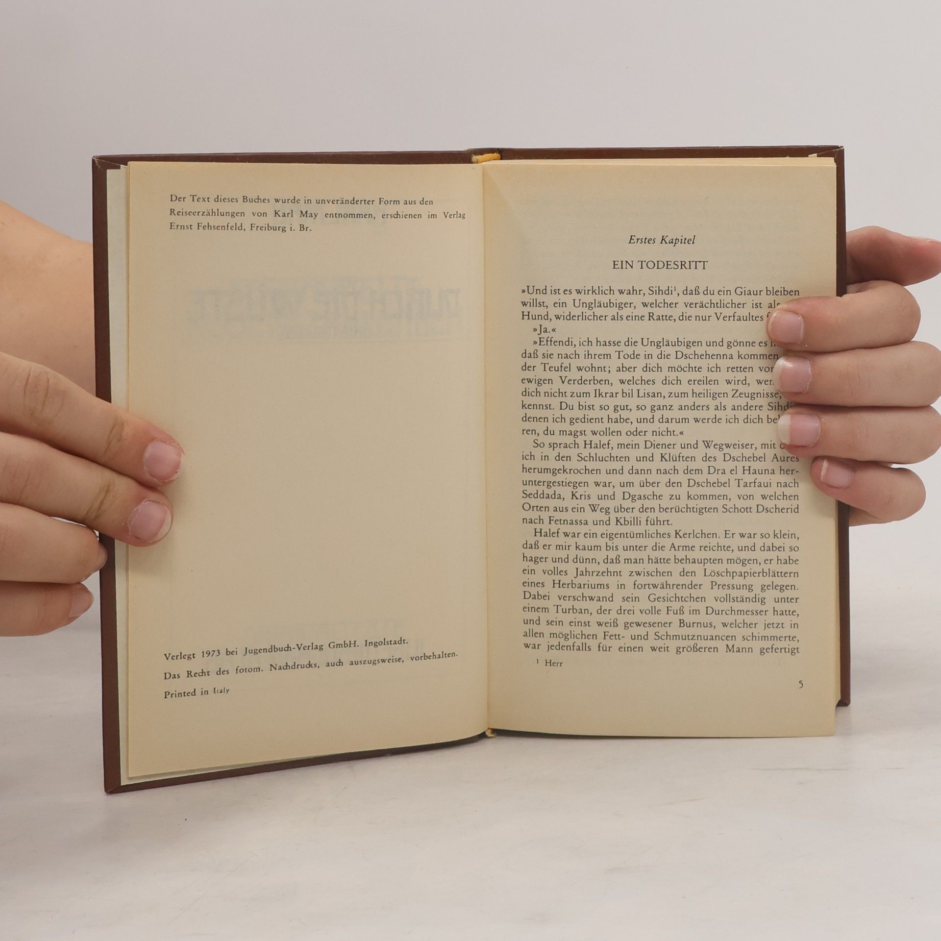 Karl May Durch Wüste und Harem
