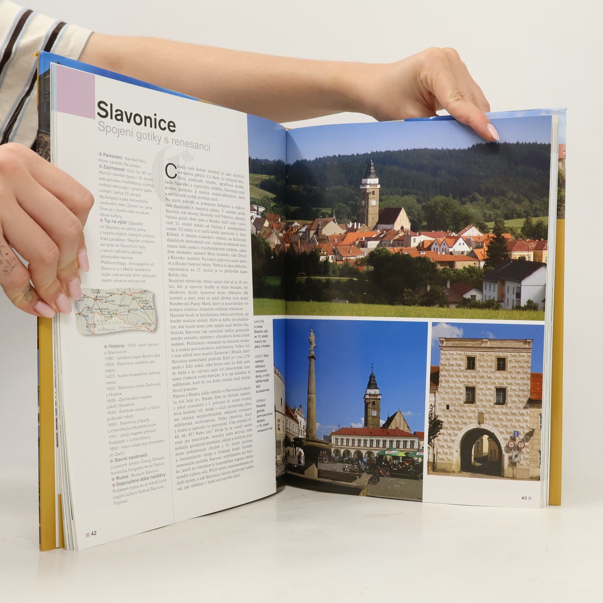 Marie Homolová 101 našich nejkrásnějších měst a městeček