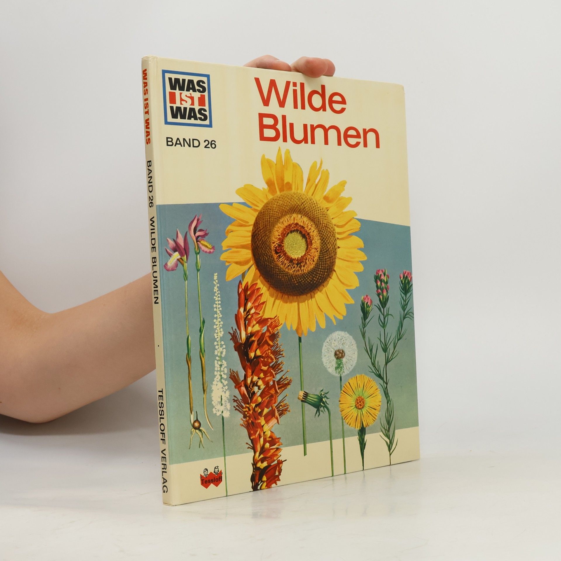 Andreas Zeugner Wilde Blumen 26