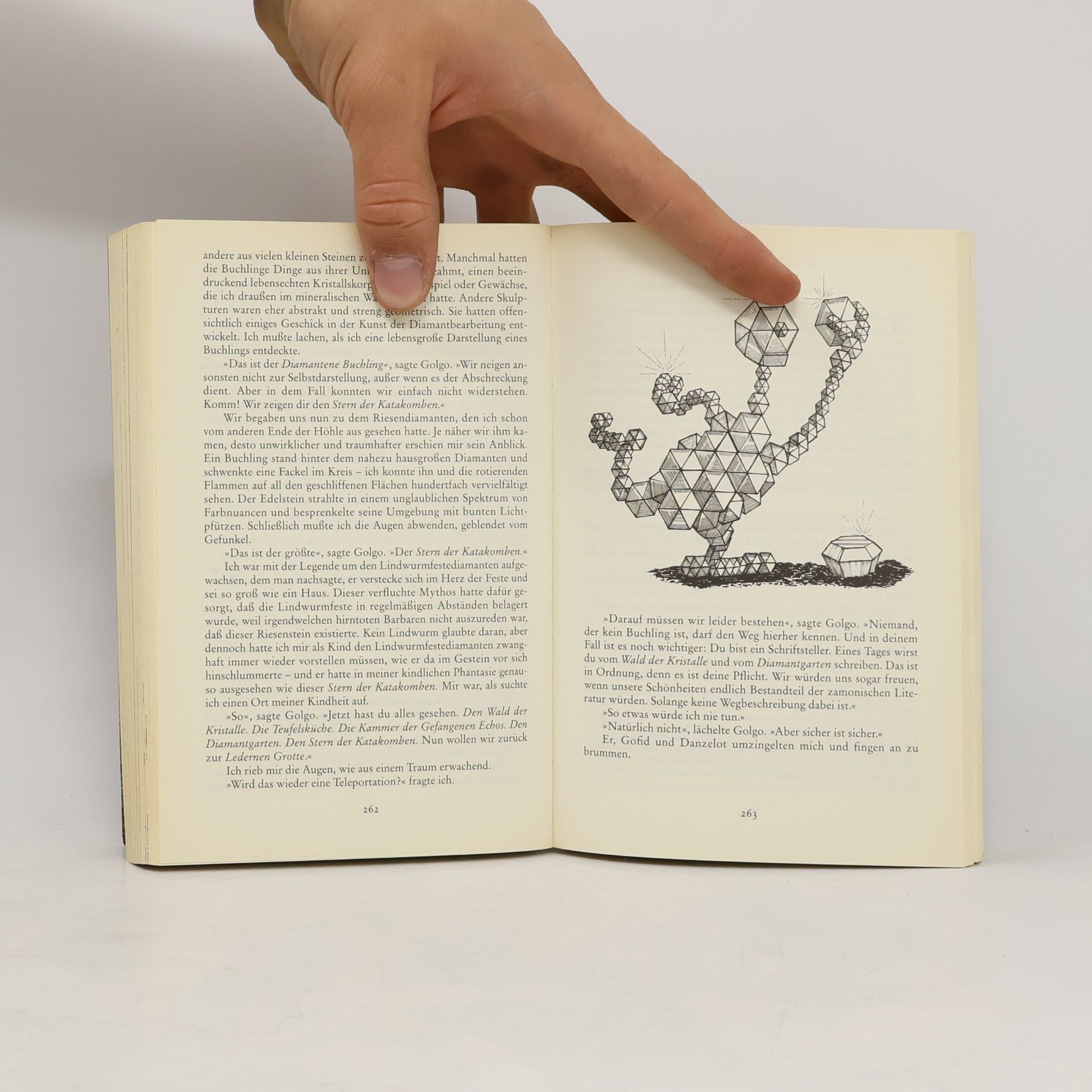 Walter Moers Die Stadt der Träumenden Bücher