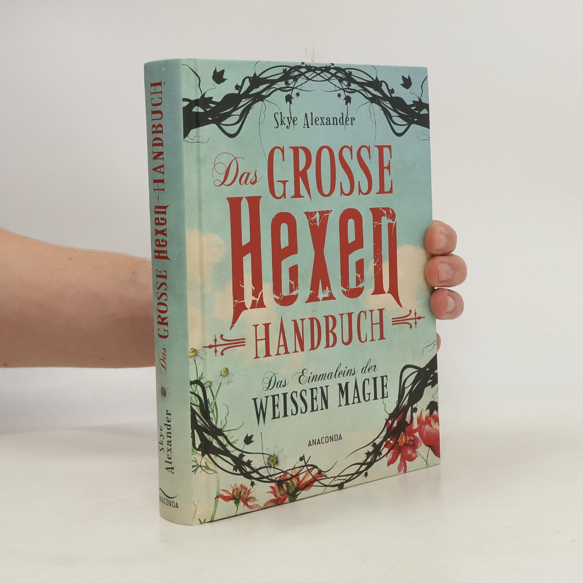 Das große Hexen-Handbuch