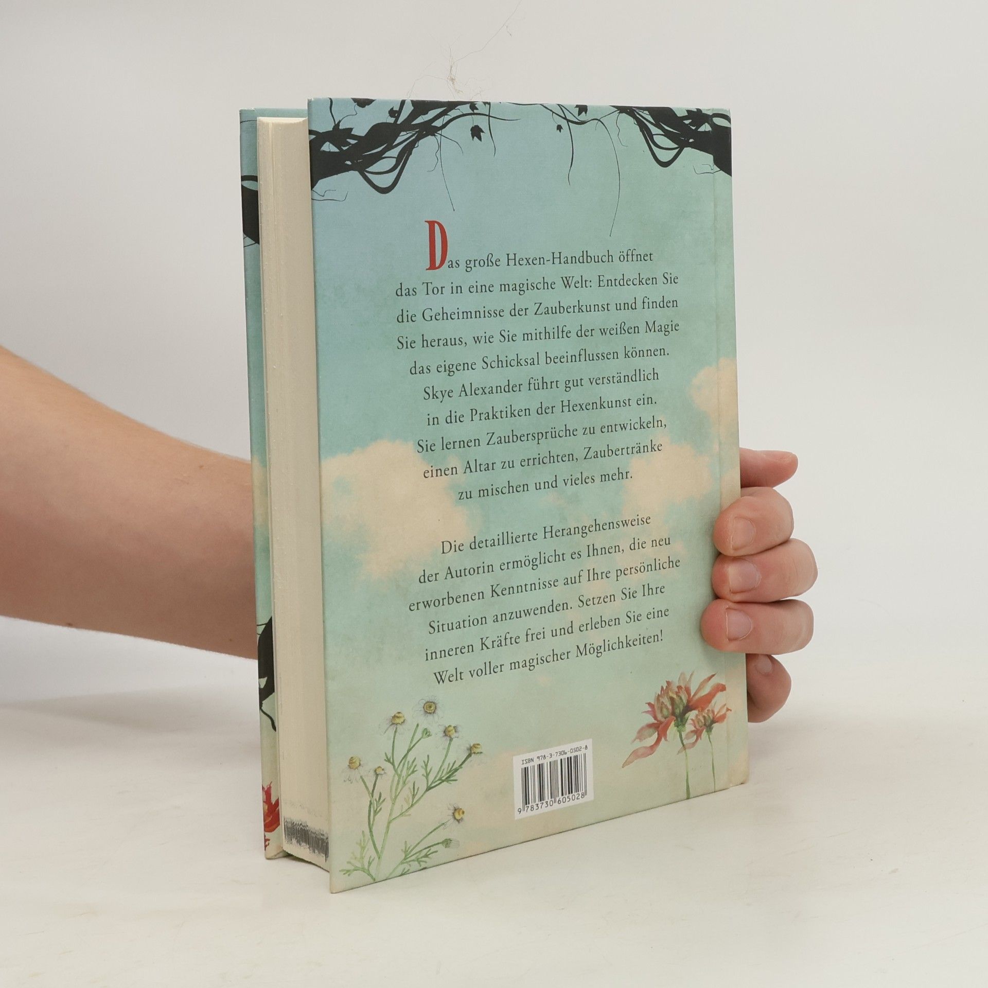Skye Alexander Das große Hexen-Handbuch
