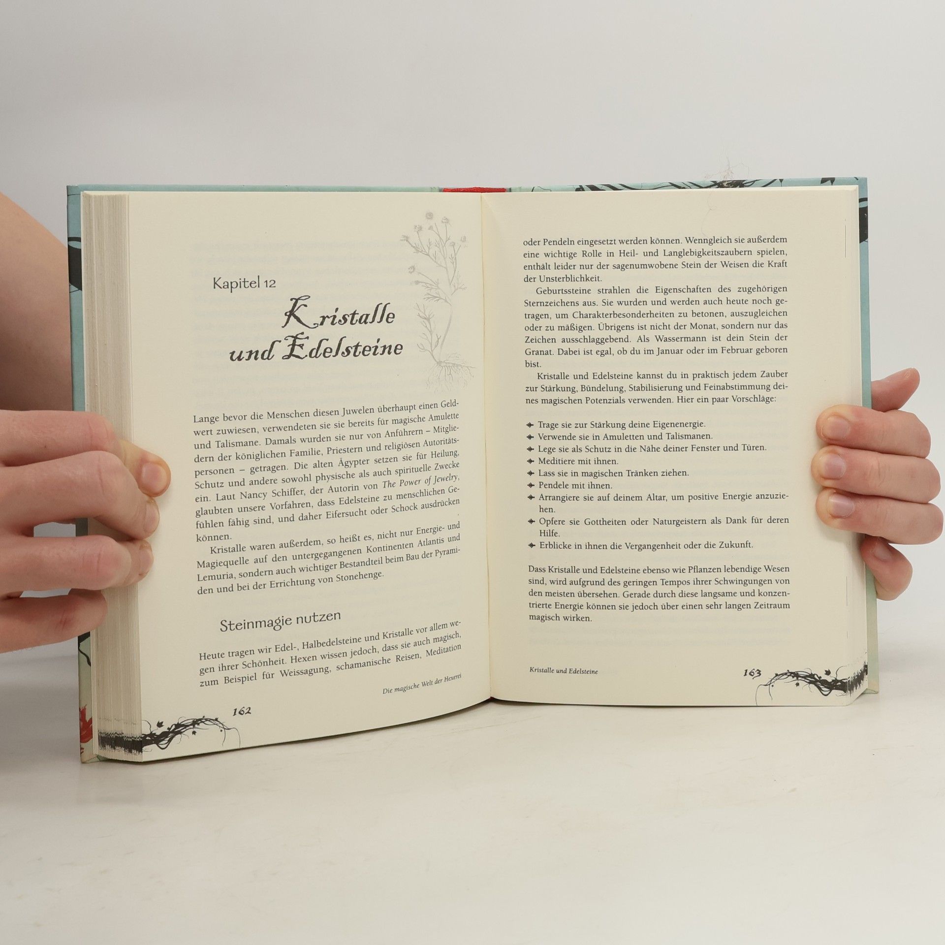 Skye Alexander Das große Hexen-Handbuch