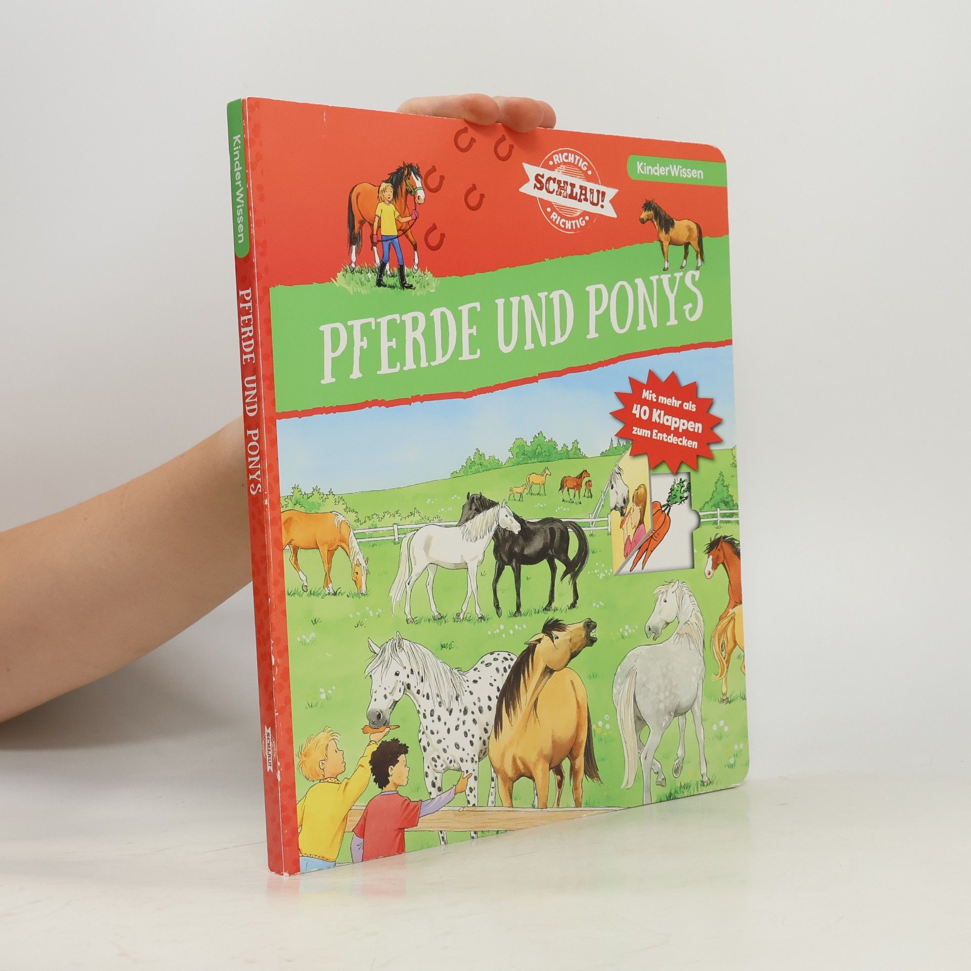 Pferde und Ponys